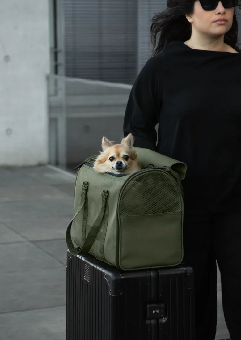 Exklusives Design für Deinen Hund