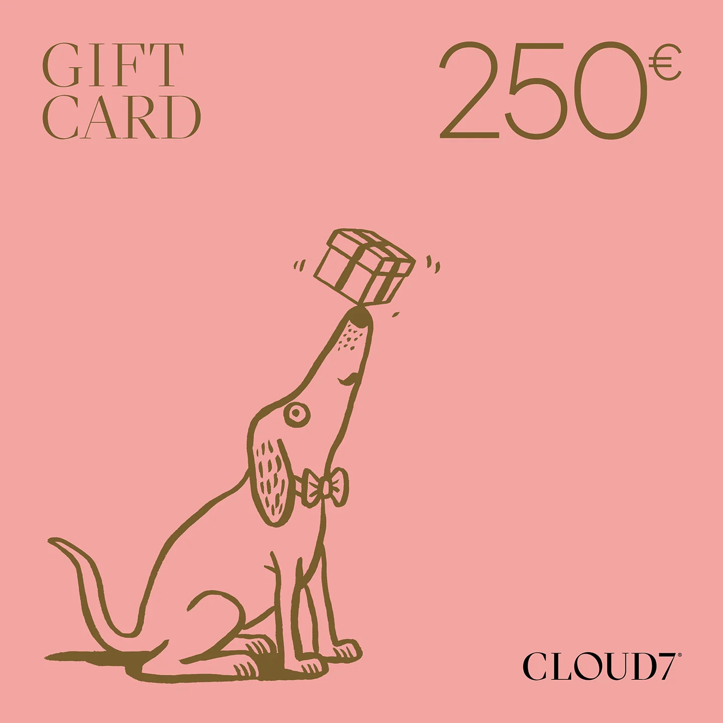 CLOUD7 Geschenkgutschein - Image 6