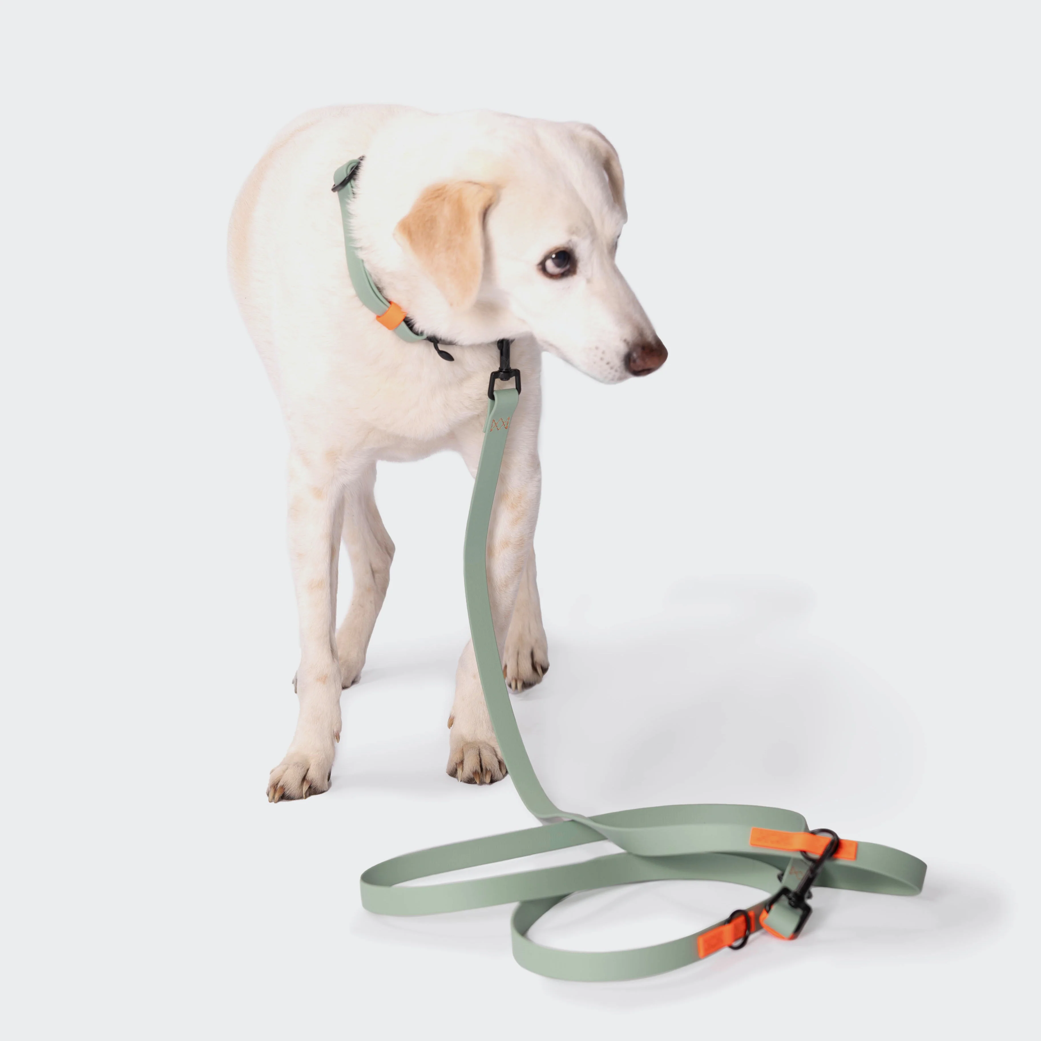 Freihandleine BioThane Ipanema Mint-Neon Orange