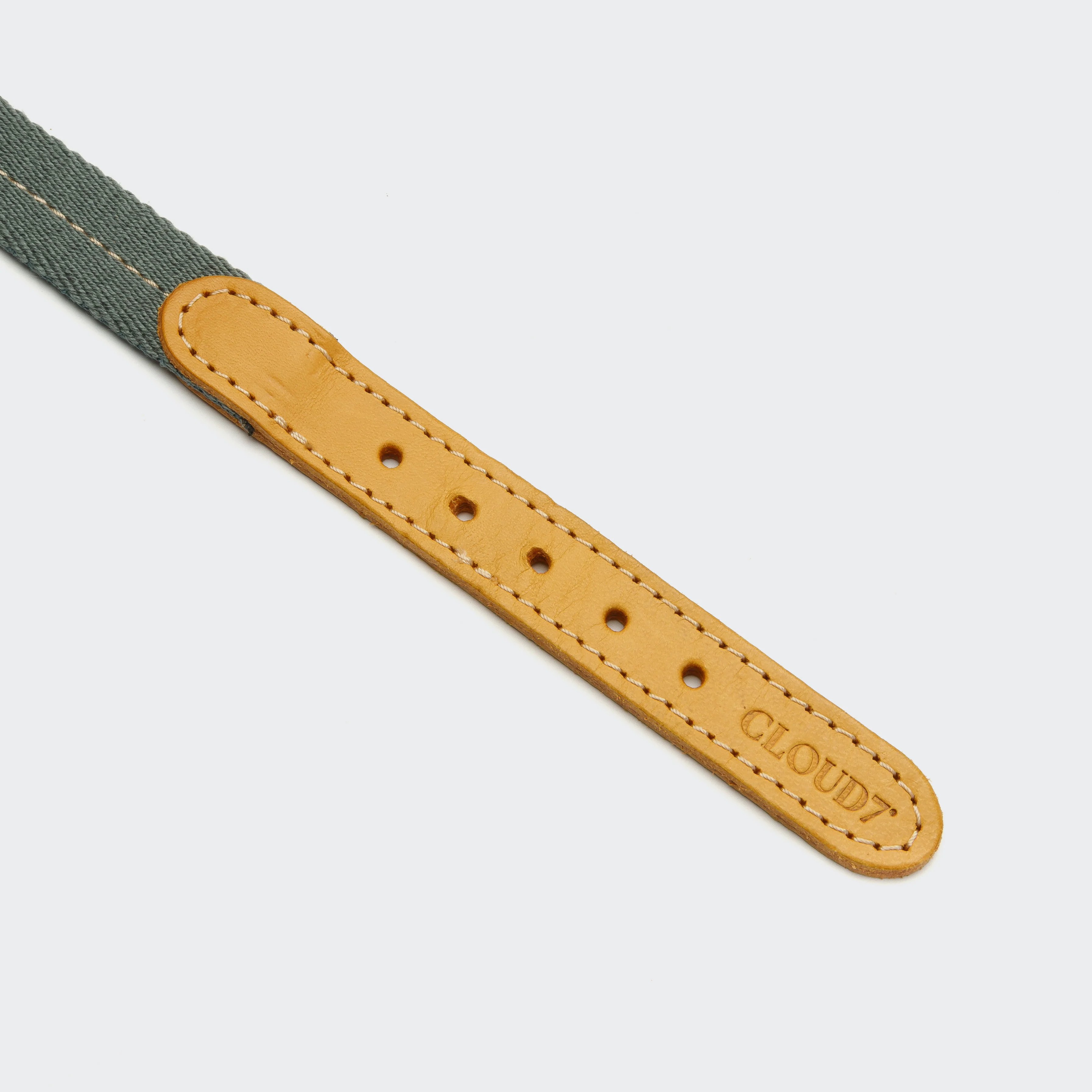 Hundehalsband Madeira Biscuit - Image 3