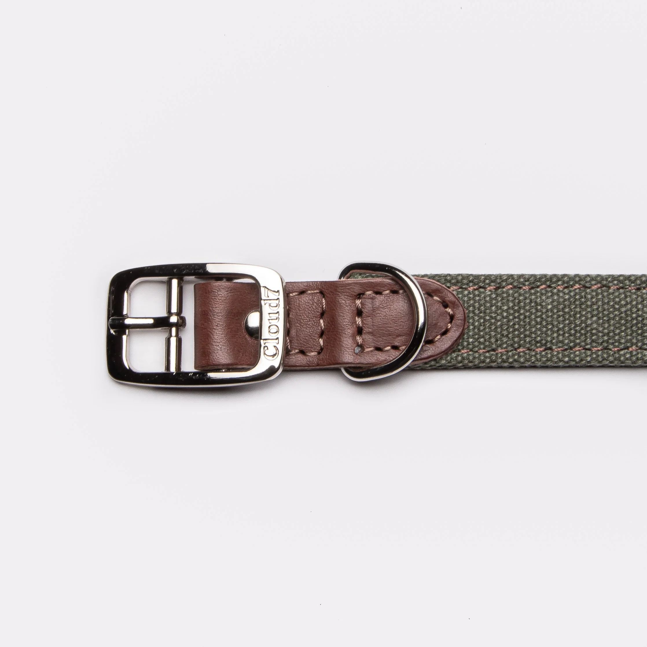 Hundehalsband Tivoli Olive - Image 3