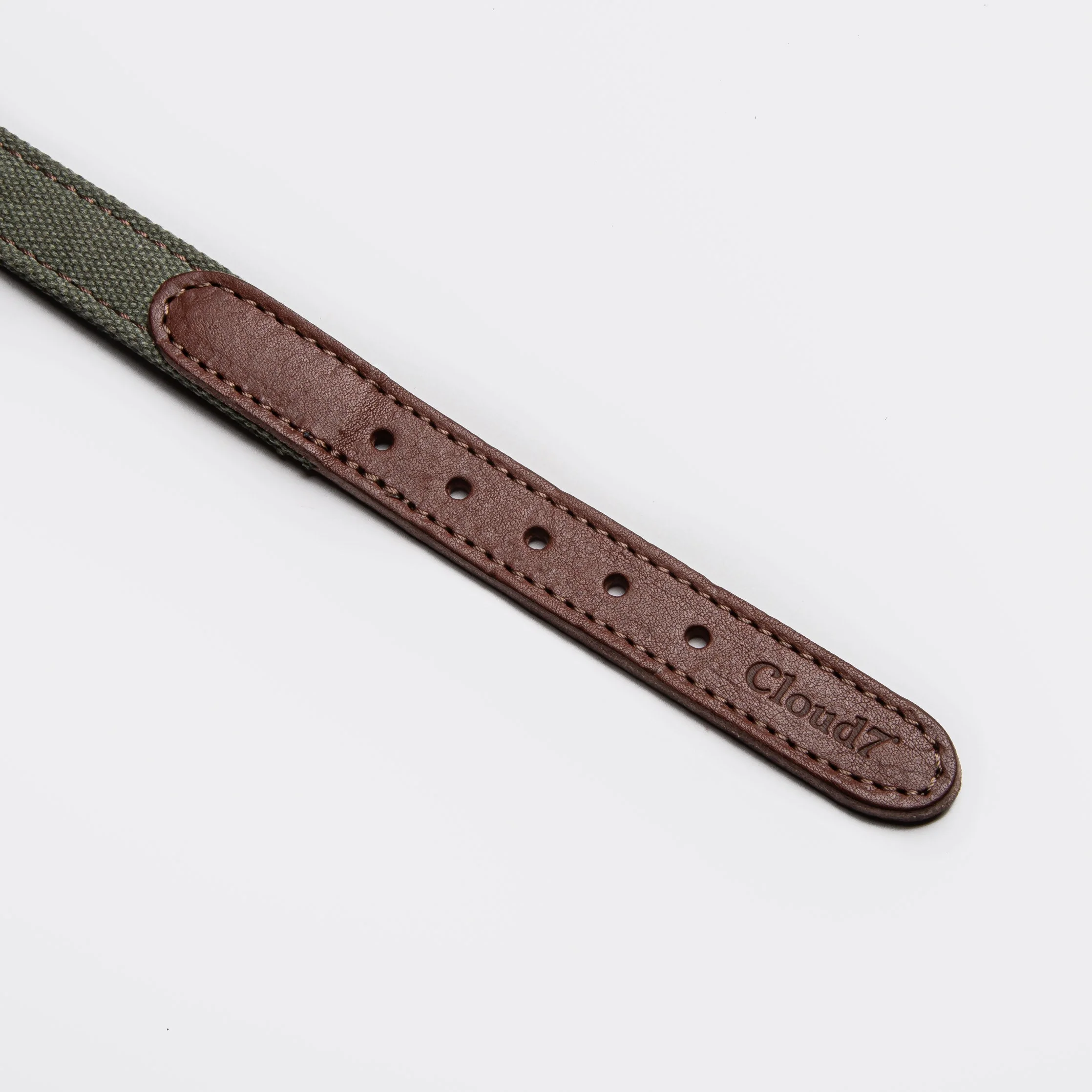 Hundehalsband Tivoli Olive - Image 4