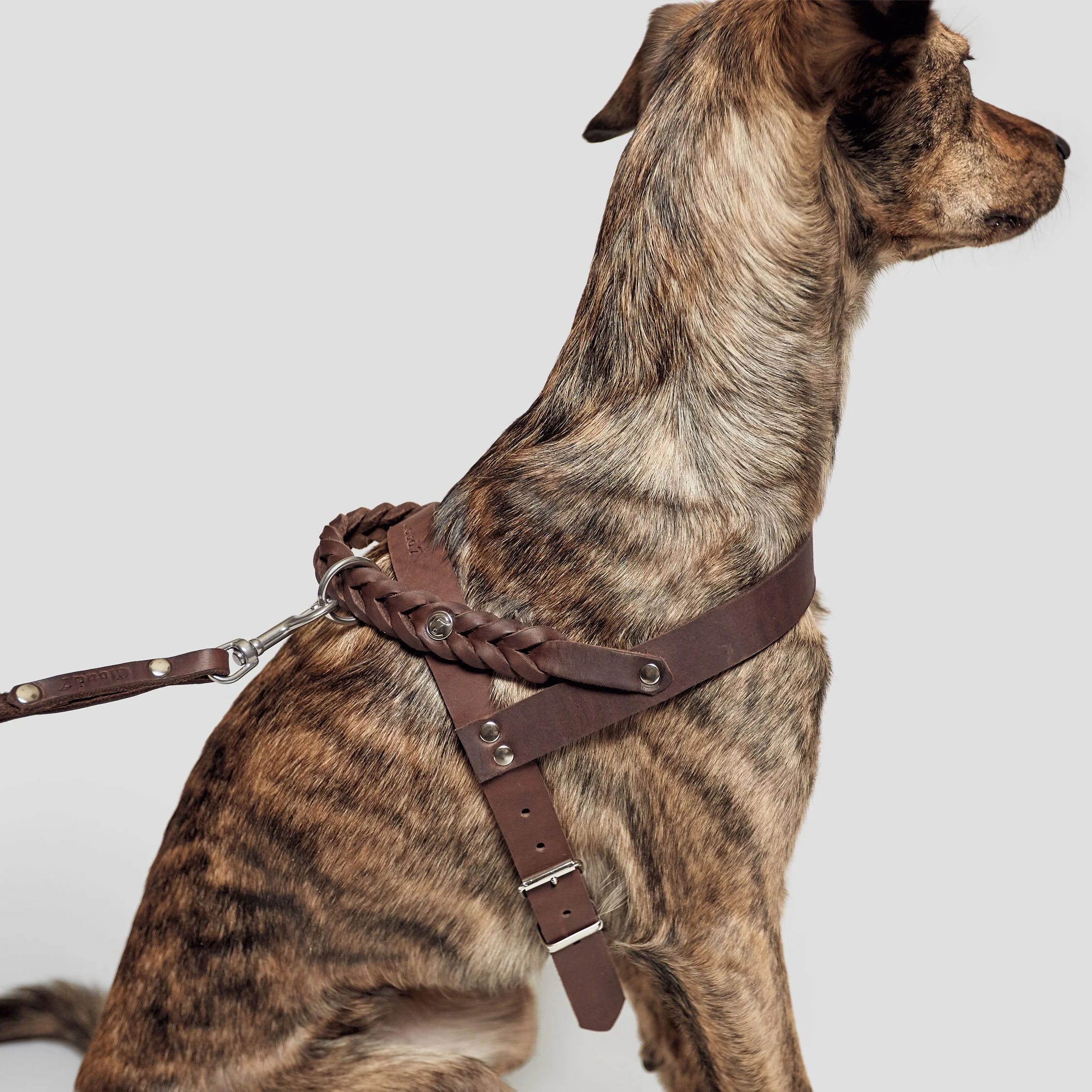 Norwegergeschirr Central Park Saddle Brown Silver - Image 5