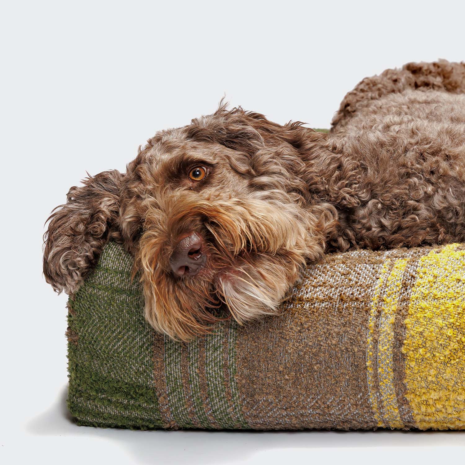 Hundebett Cube Tartan Green - Image 4