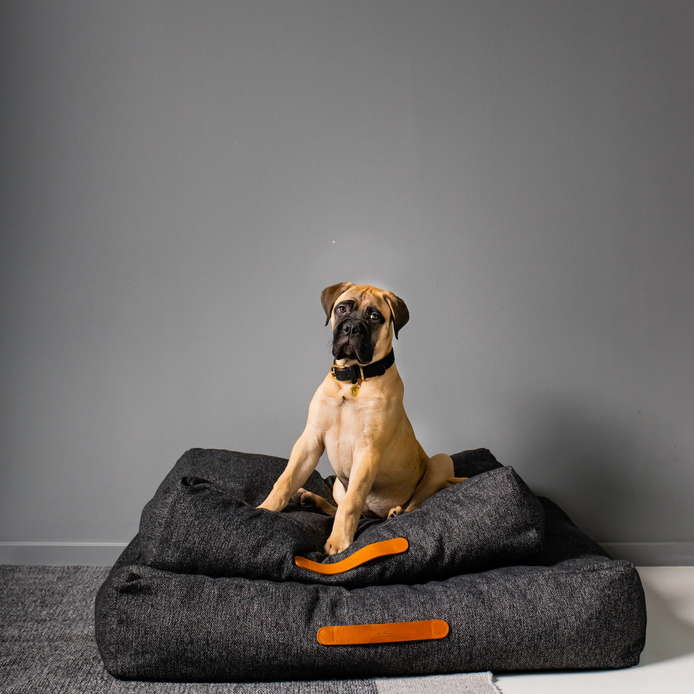 Hundebett Homey Mélange Anthra - Image 4