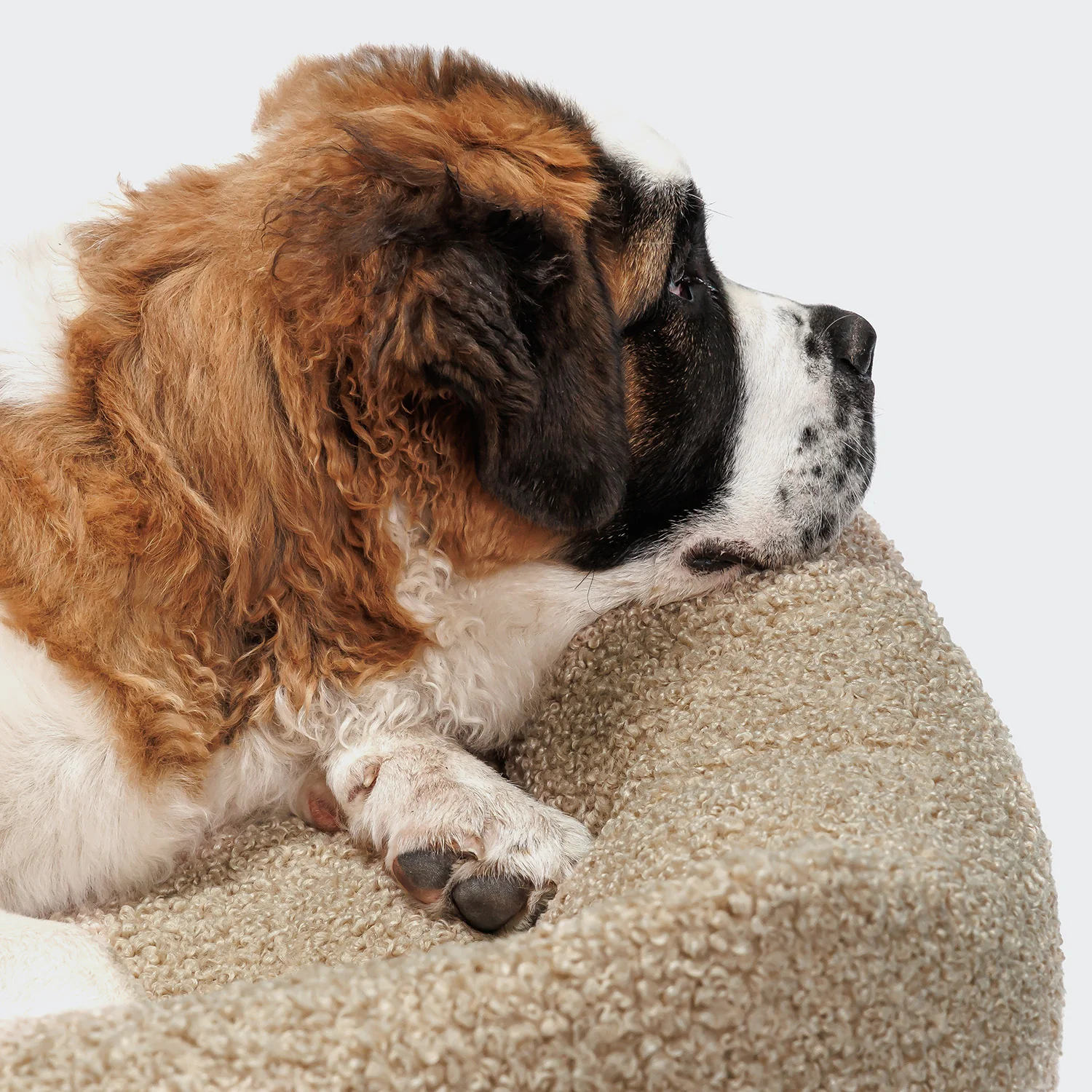 Hundebett Sleepy Deluxe Curl Cream - Image 3