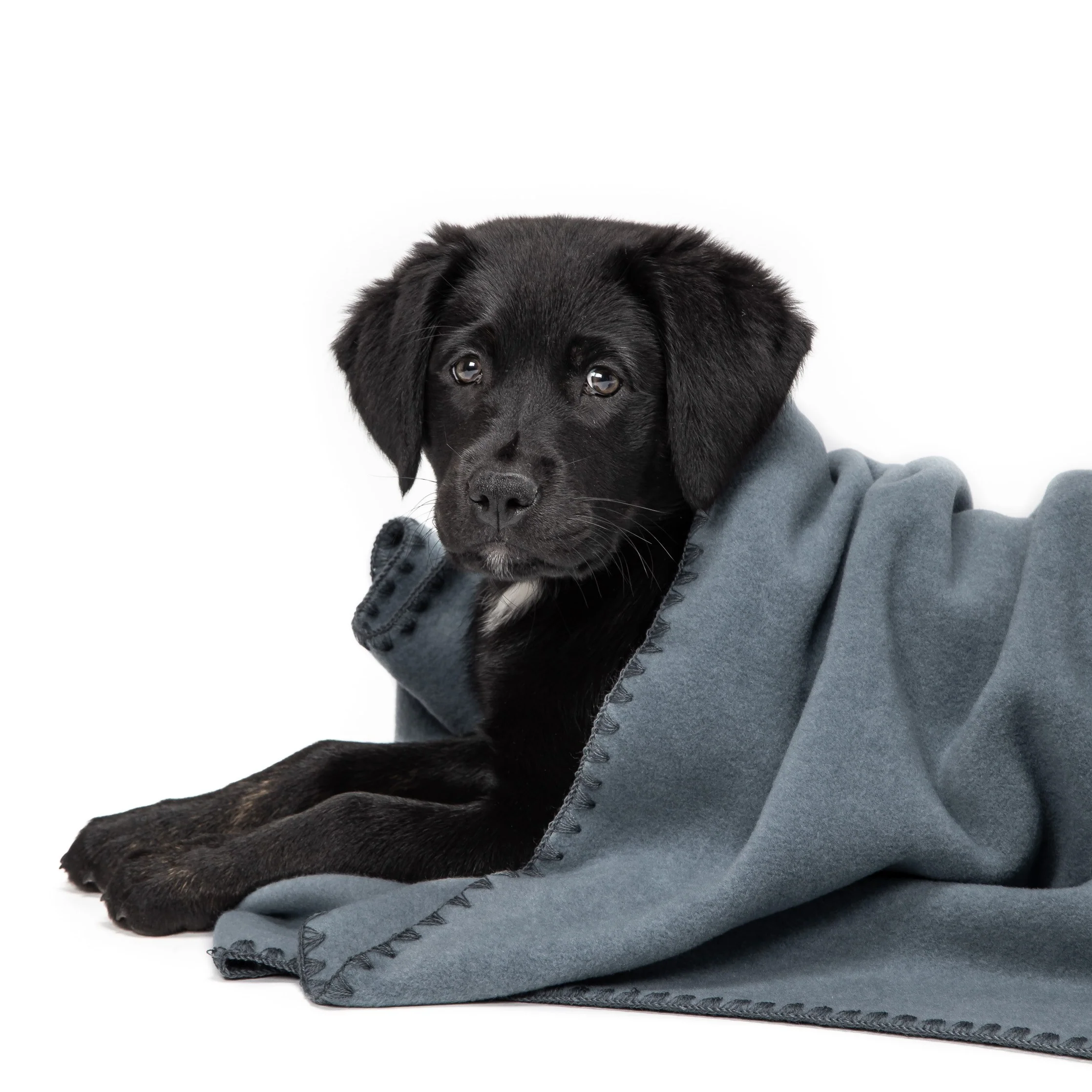 Hundedecke Soft Fleece Dove Blue - Image 5