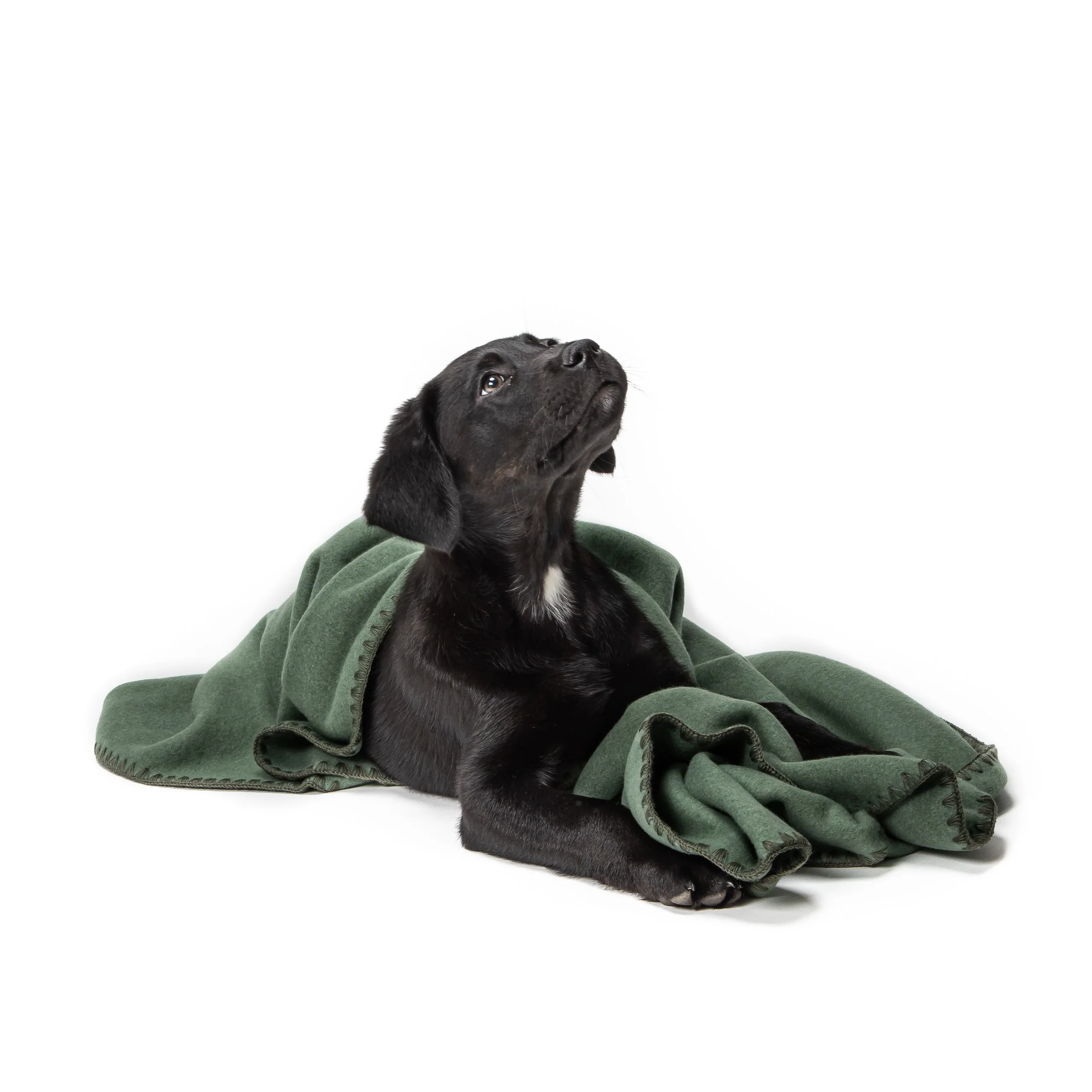 Hundedecke Soft Fleece Dusty Green - Image 6