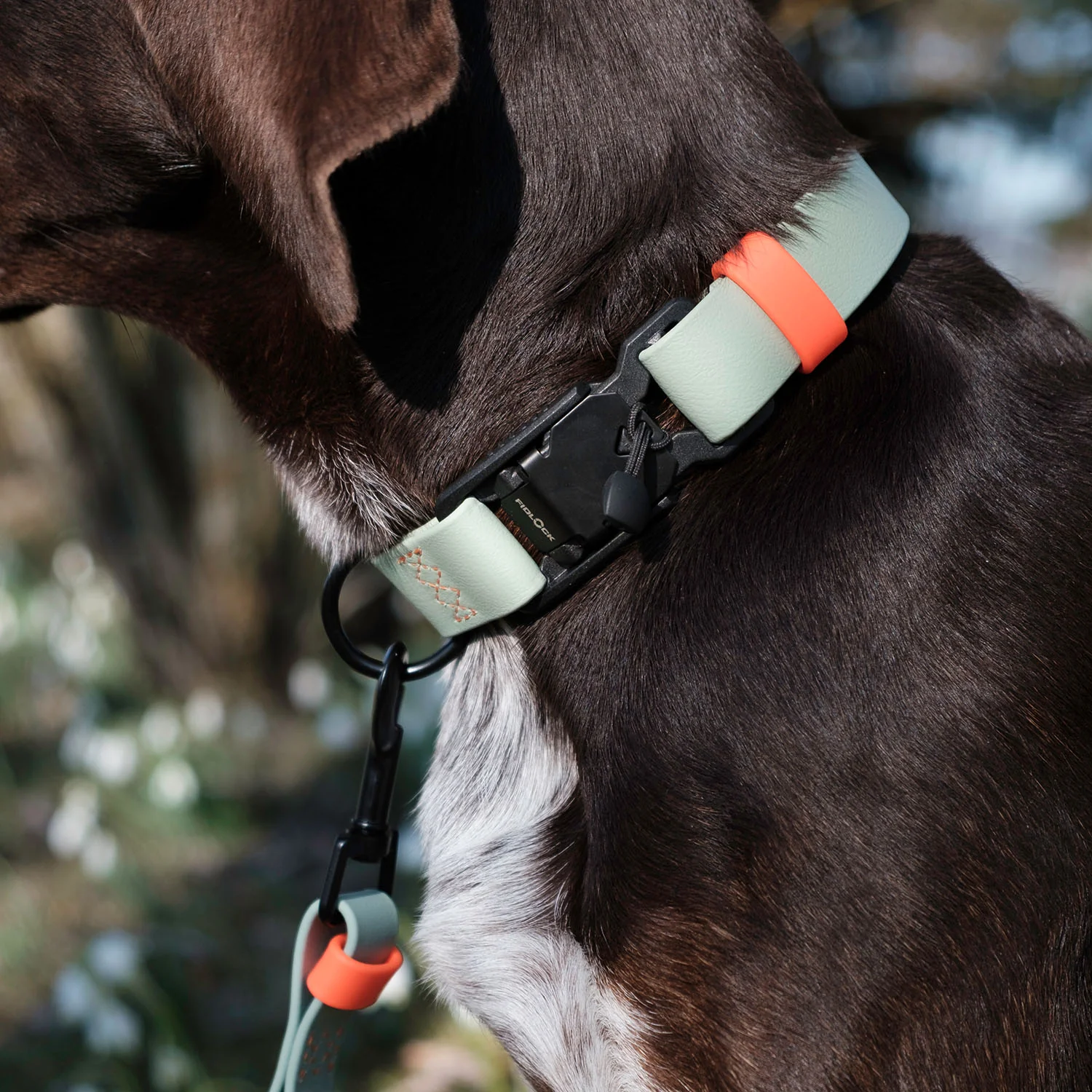 Hundehalsband BioThane Ipanema Mint-Neon Orange - Image 2