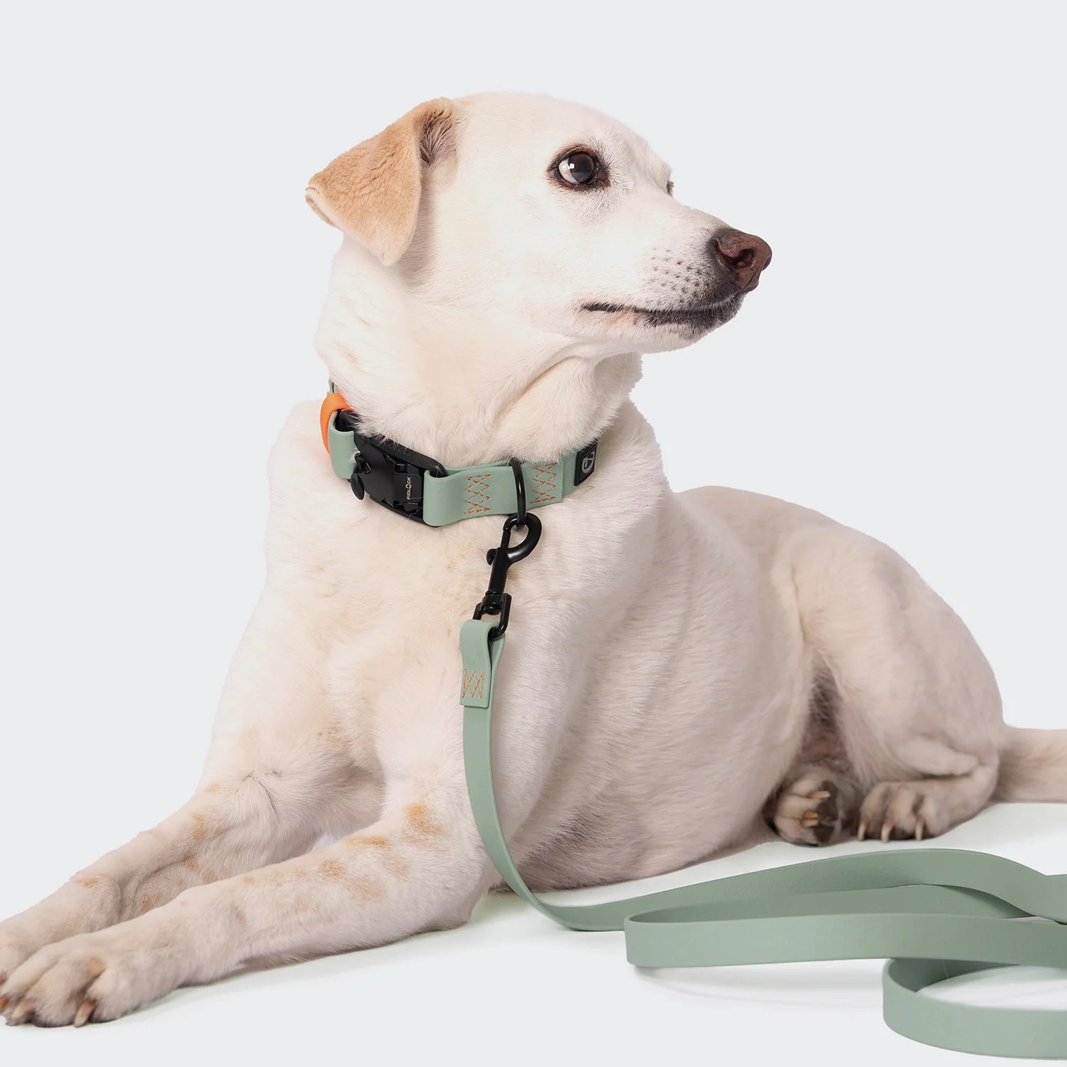 Hundehalsband BioThane Ipanema Mint-Neon Orange - Image 5