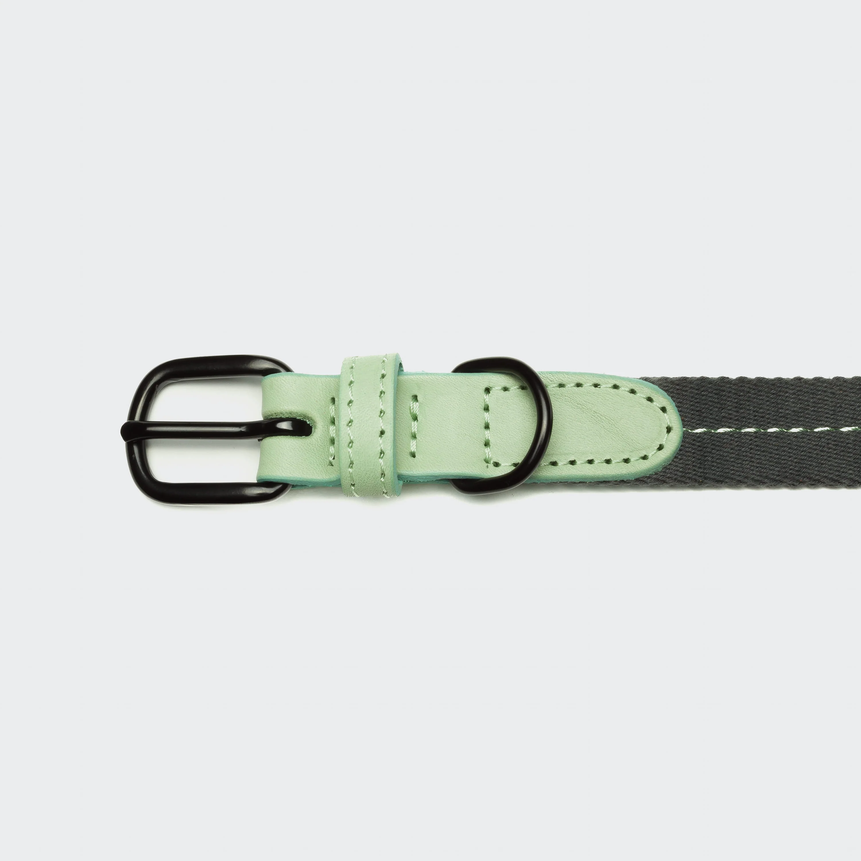 Hundehalsband Madeira Mint - Image 3