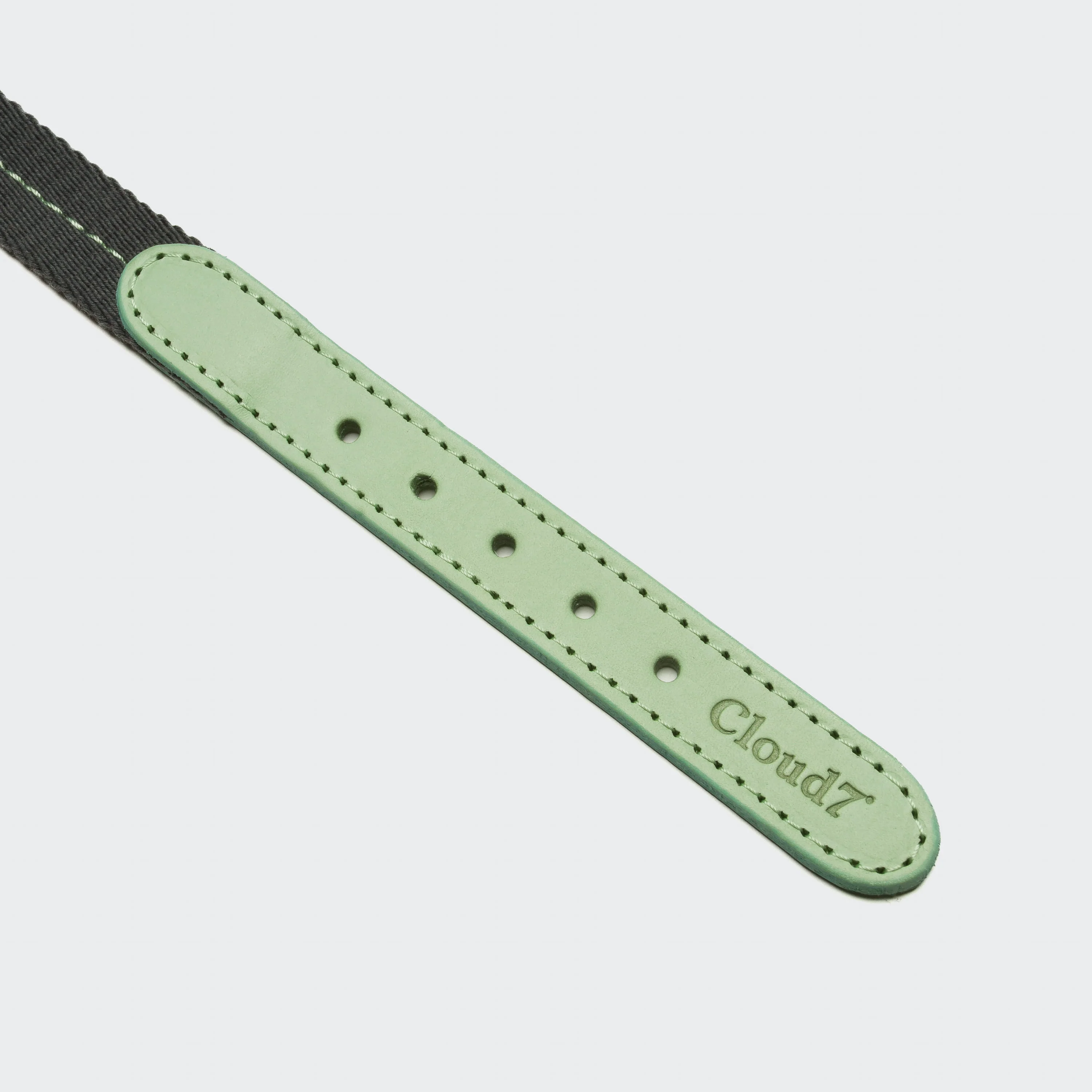 Hundehalsband Madeira Mint - Image 4