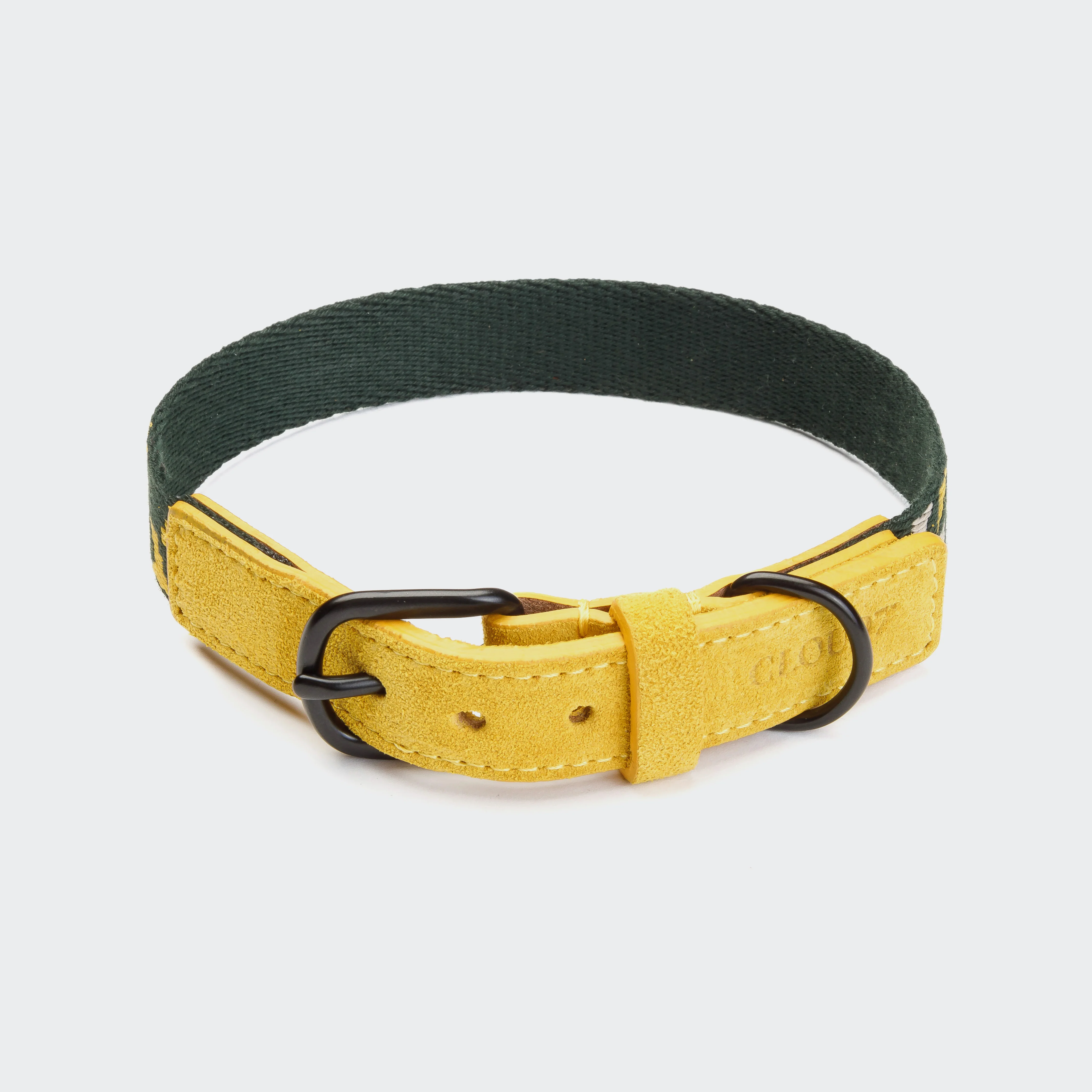 Hundehalsband Maksimir Park Green/Yellow - Image 3
