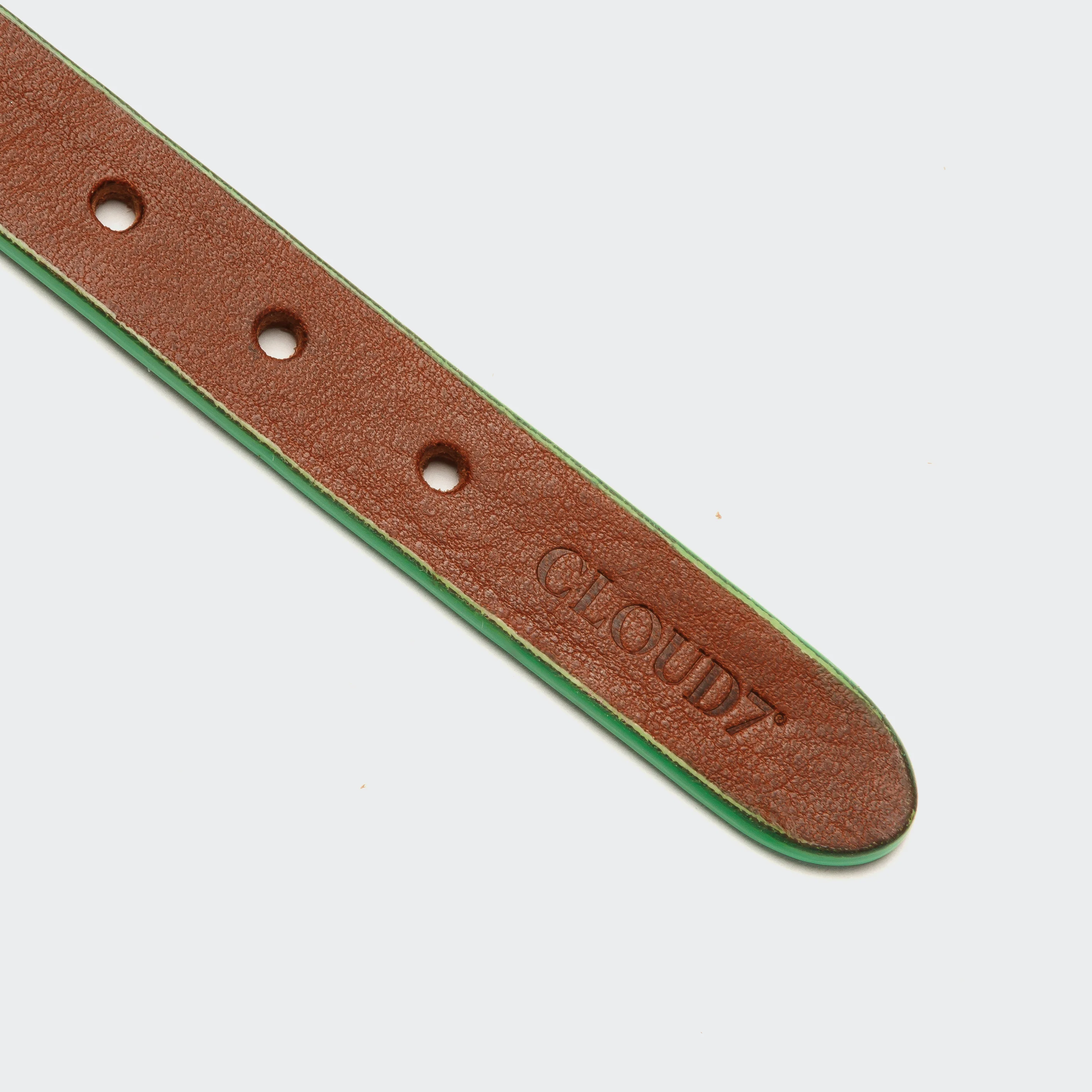 Hundehalsband Prince Park Cognac/Green - Image 4
