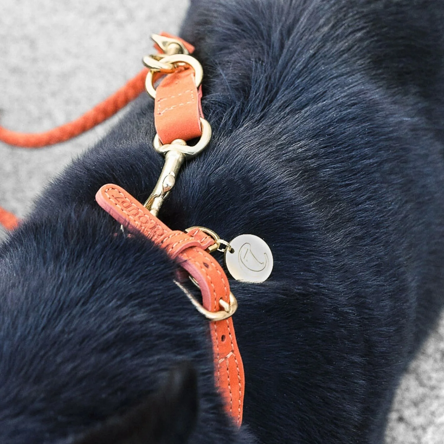 Hundehalsband Ravello Rust - Image 6