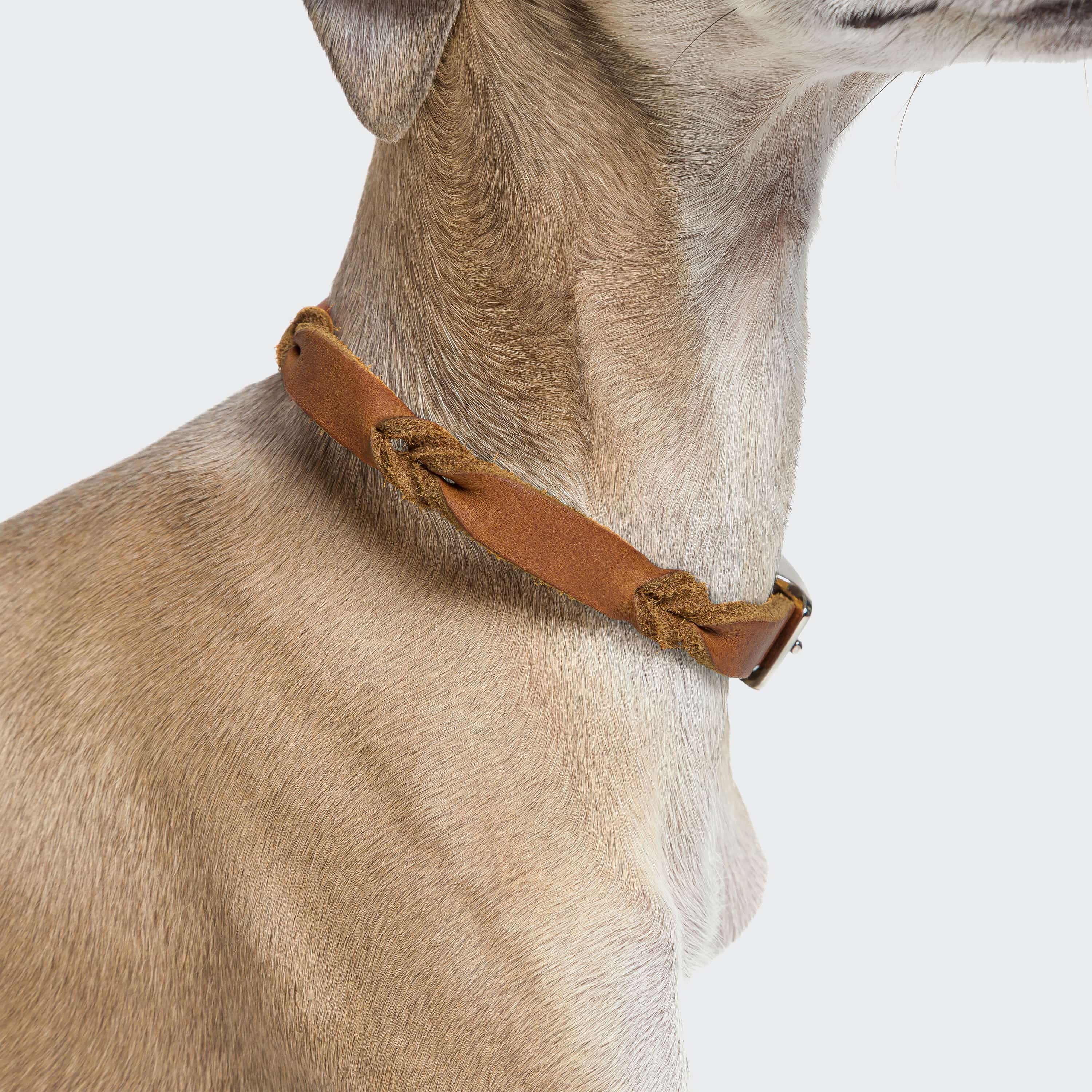 Hundehalsband Riverlino Camel Silver - Image 5