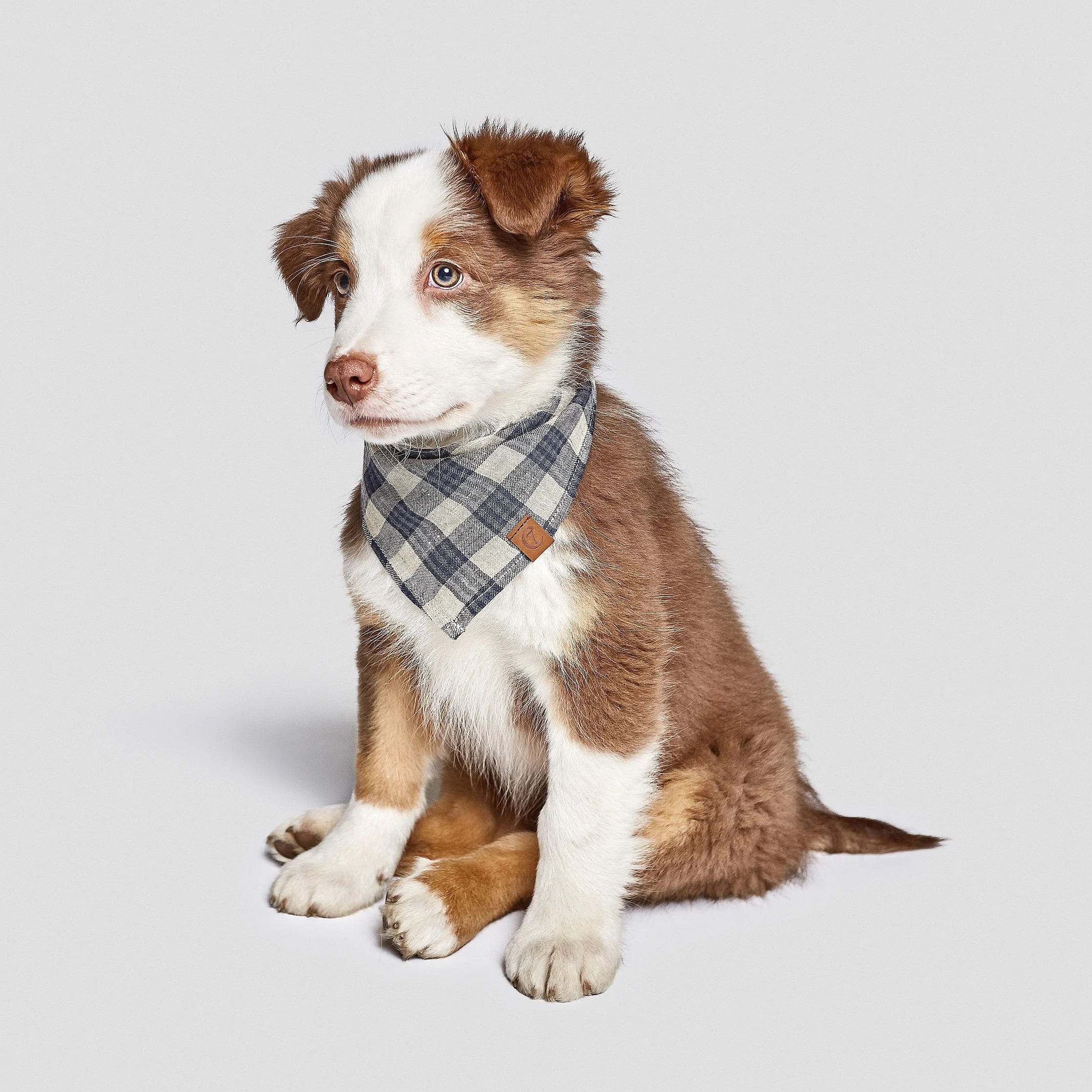 Hundehalstuch Bandana Check Dark Blue - Beige - Image 5