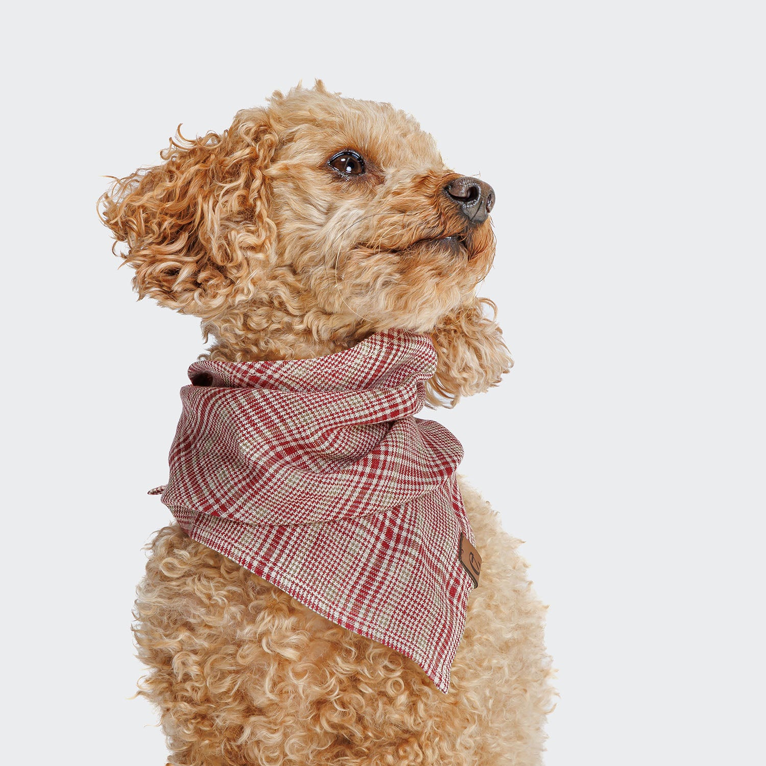 Hundehalstuch Bandana Check Red - Light Green