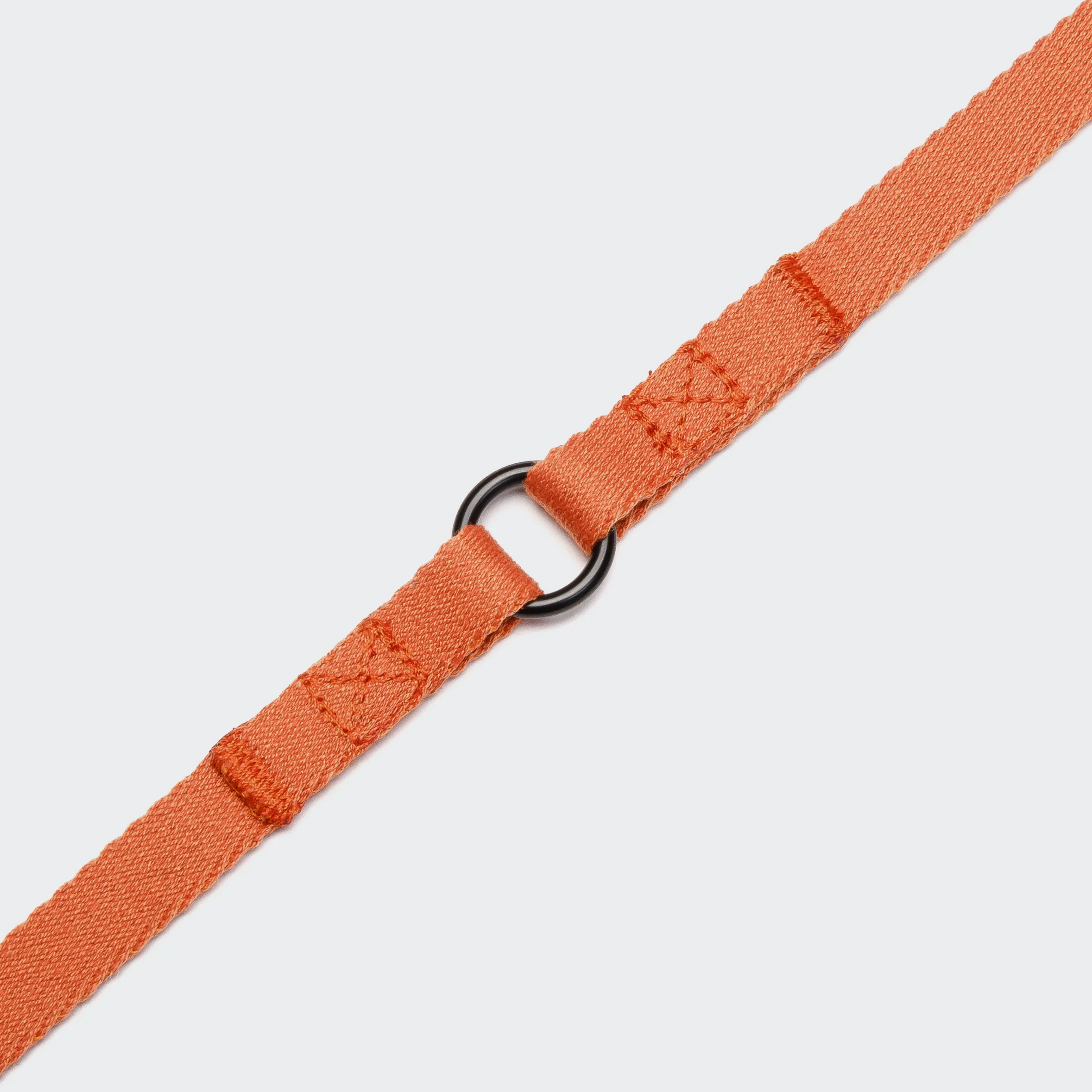 Hundeleine Holly Park Orange - Image 5