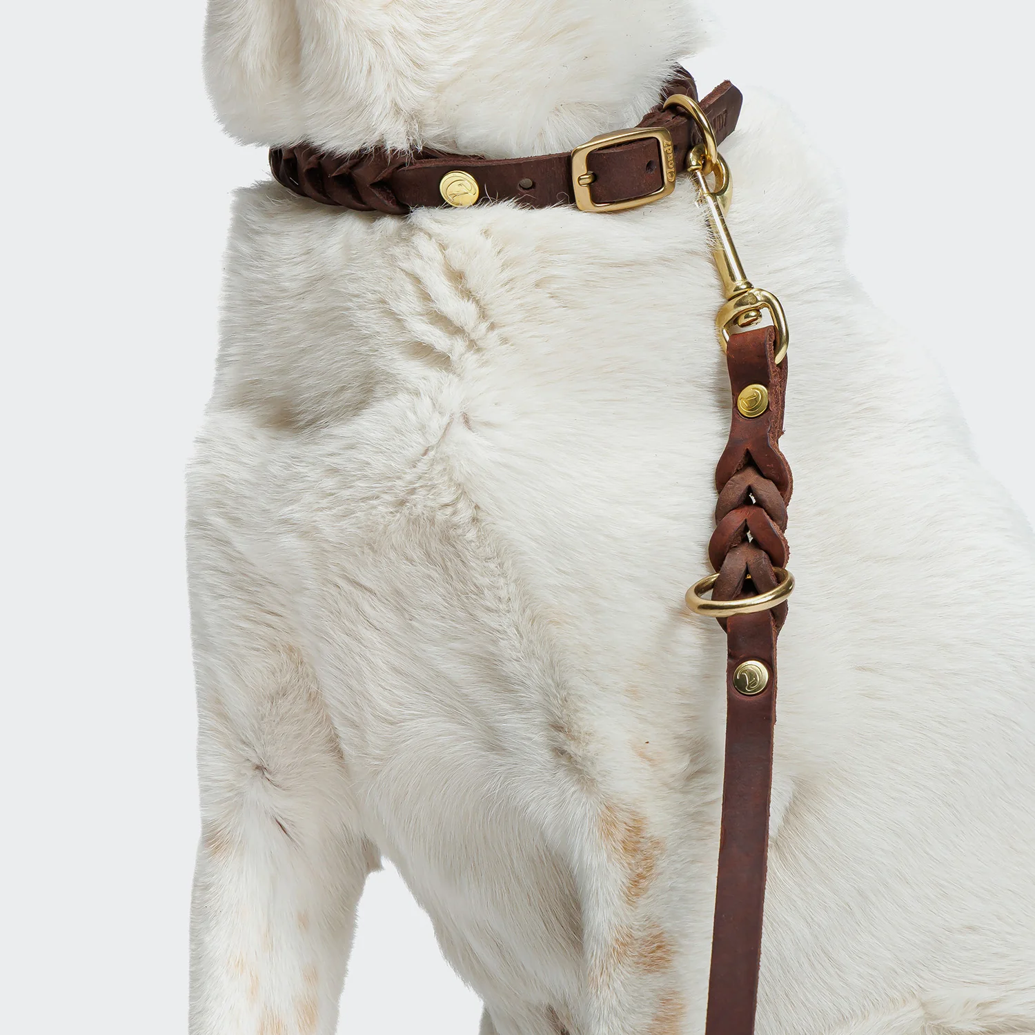 Hundeleine Riverside Park Saddle Brown Gold - Image 3
