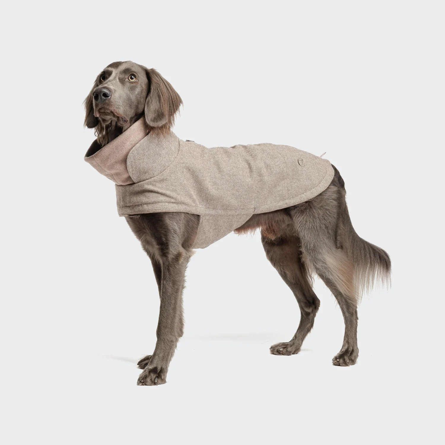 Hundemantel Brooklyn Tweed Beige