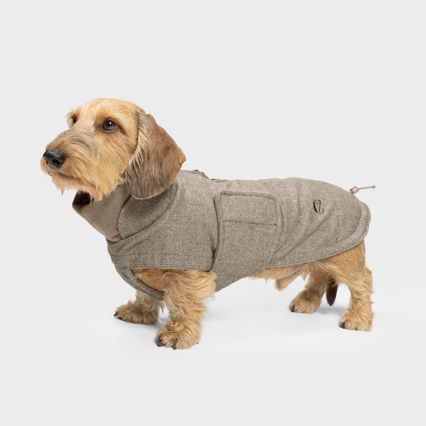 Hundemantel Dackel Brooklyn Tweed Beige - Image 3