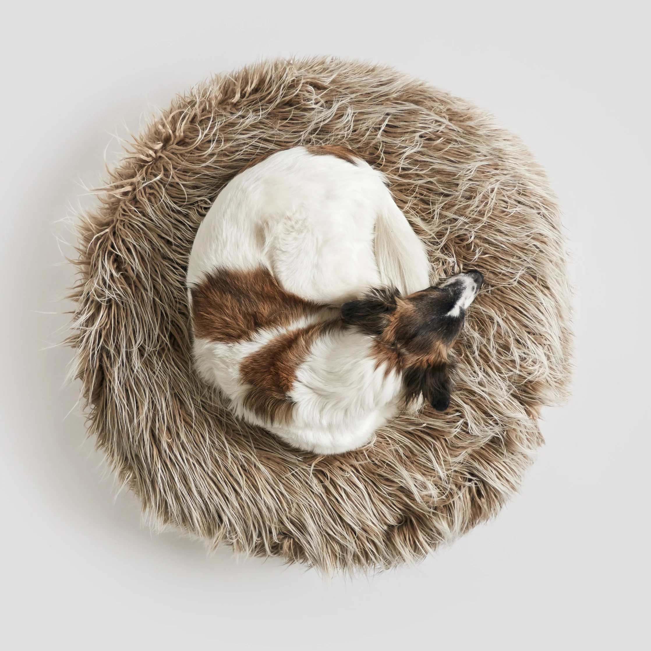 Hundepouf Yeti - Image 7