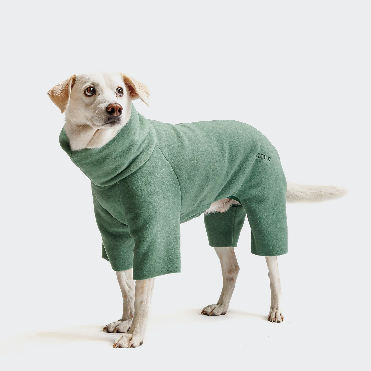 Hundepullover Fleece Cornwall Dusty Green - Image 4