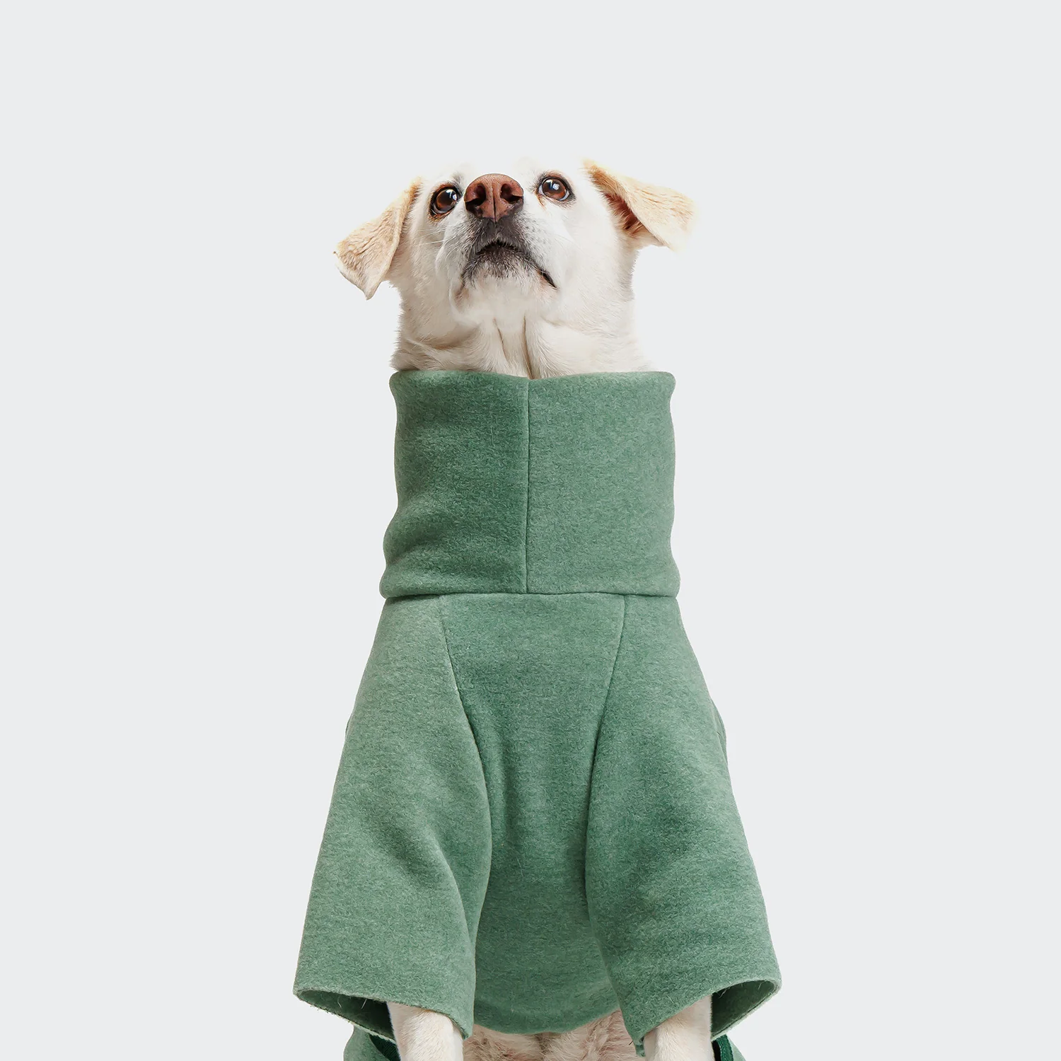 Hundepullover Fleece Cornwall Dusty Green - Image 5