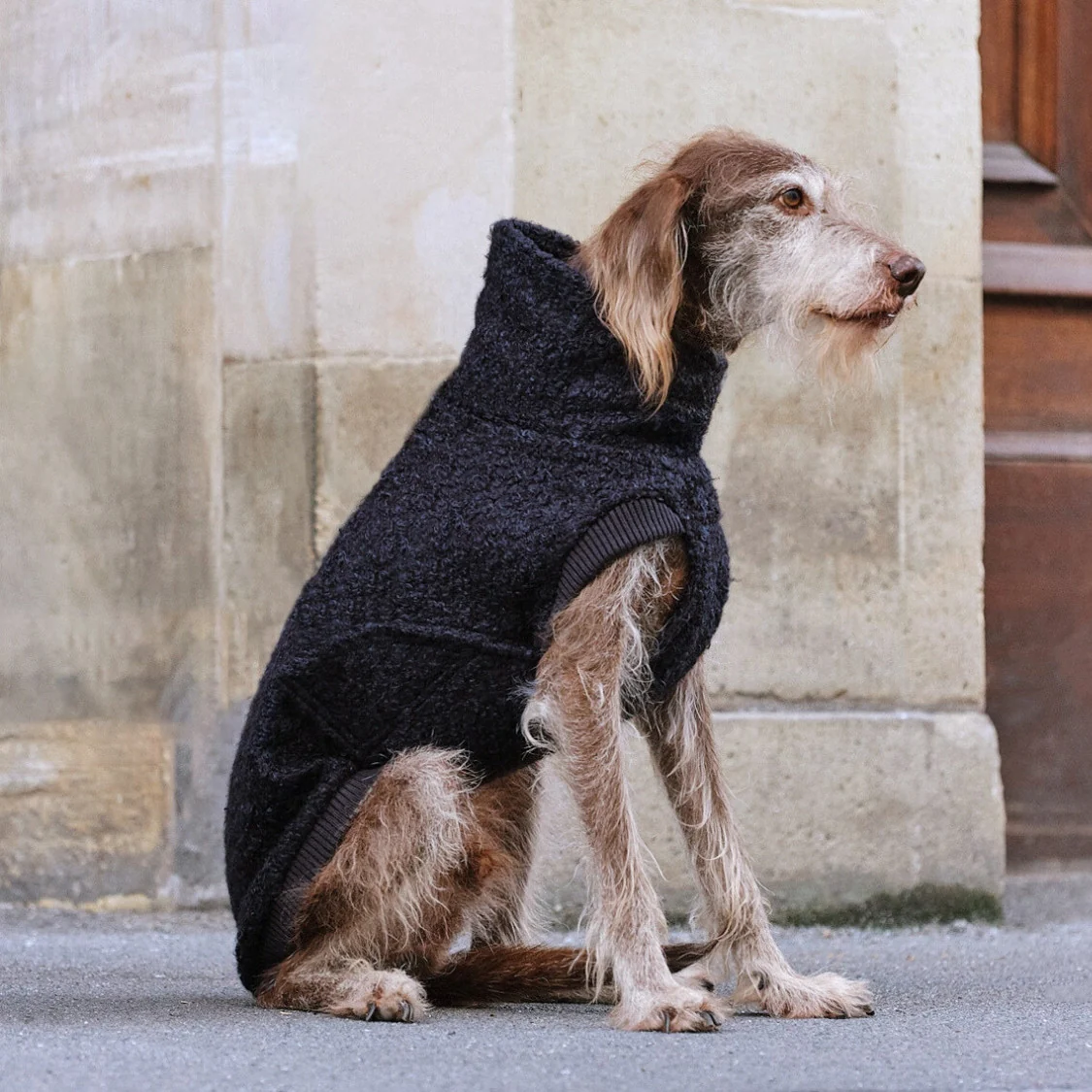 Hundepullover Gotland Anthra - Image 4