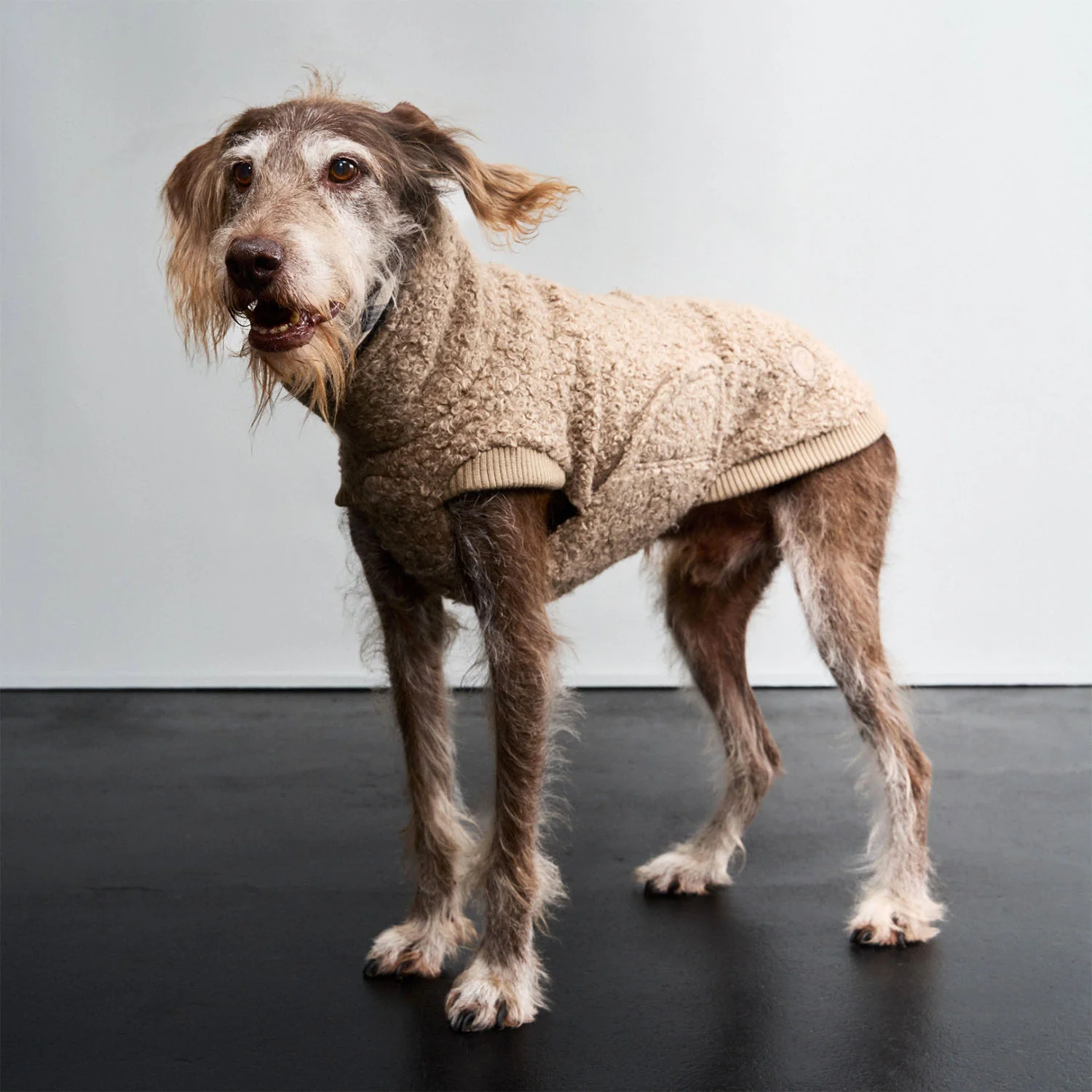 Hundepullover Gotland Sandy Brown - Image 4