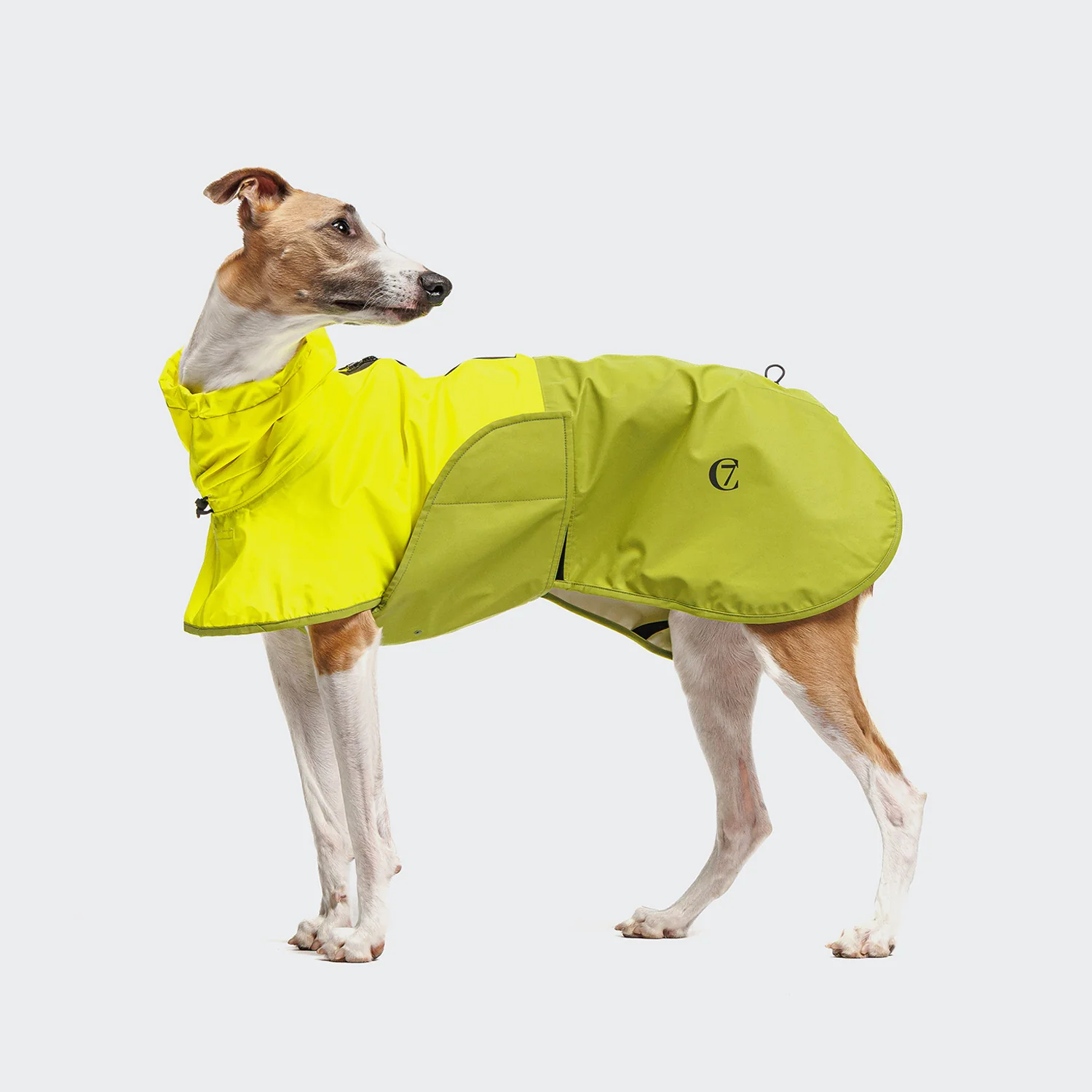 Hunderegenmantel AKTIV Neon Green/Light Olive - Image 2