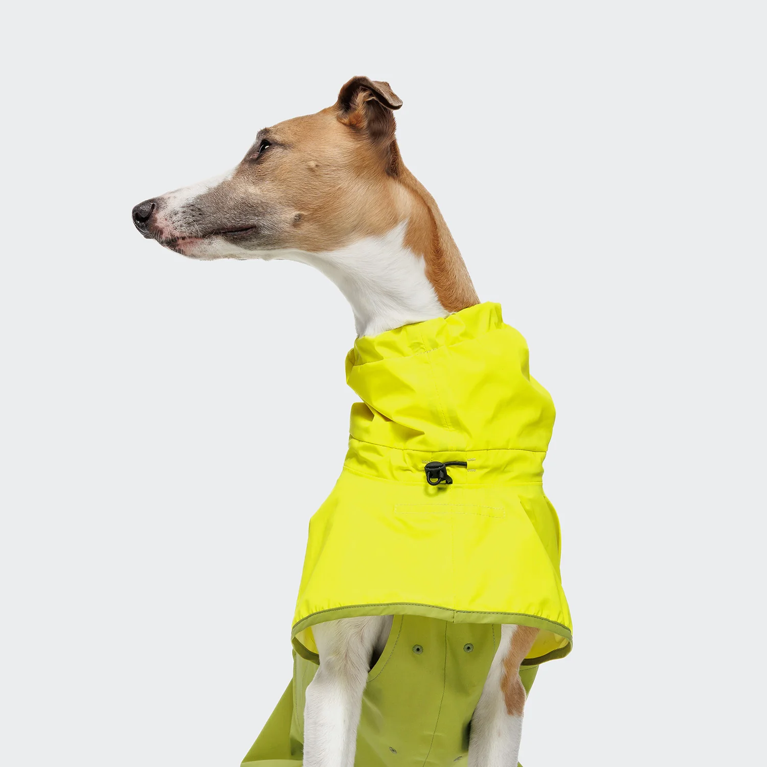 Hunderegenmantel AKTIV Neon Green/Light Olive - Image 4