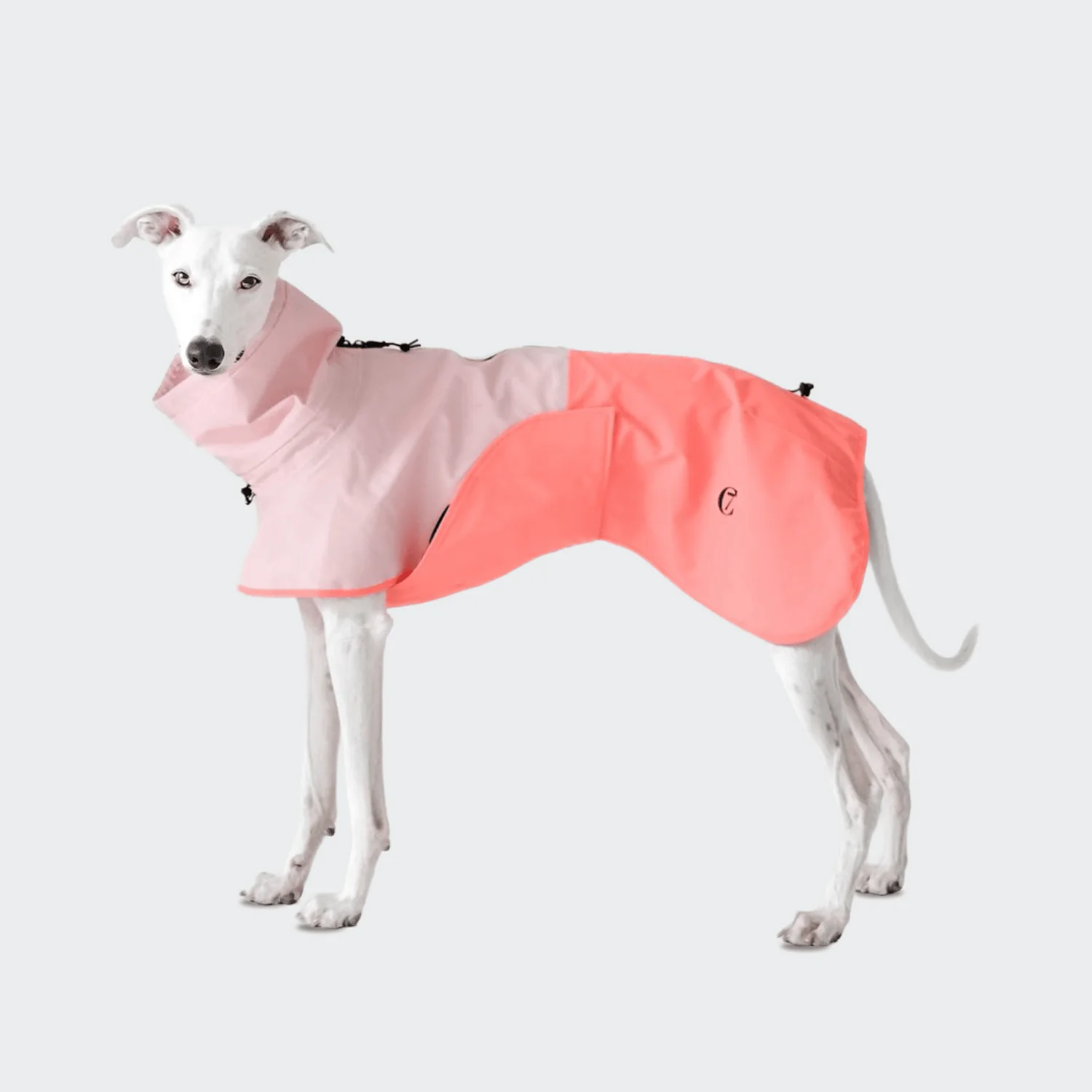 Hunderegenmantel AKTIV Peach/Neon Pink - Image 2