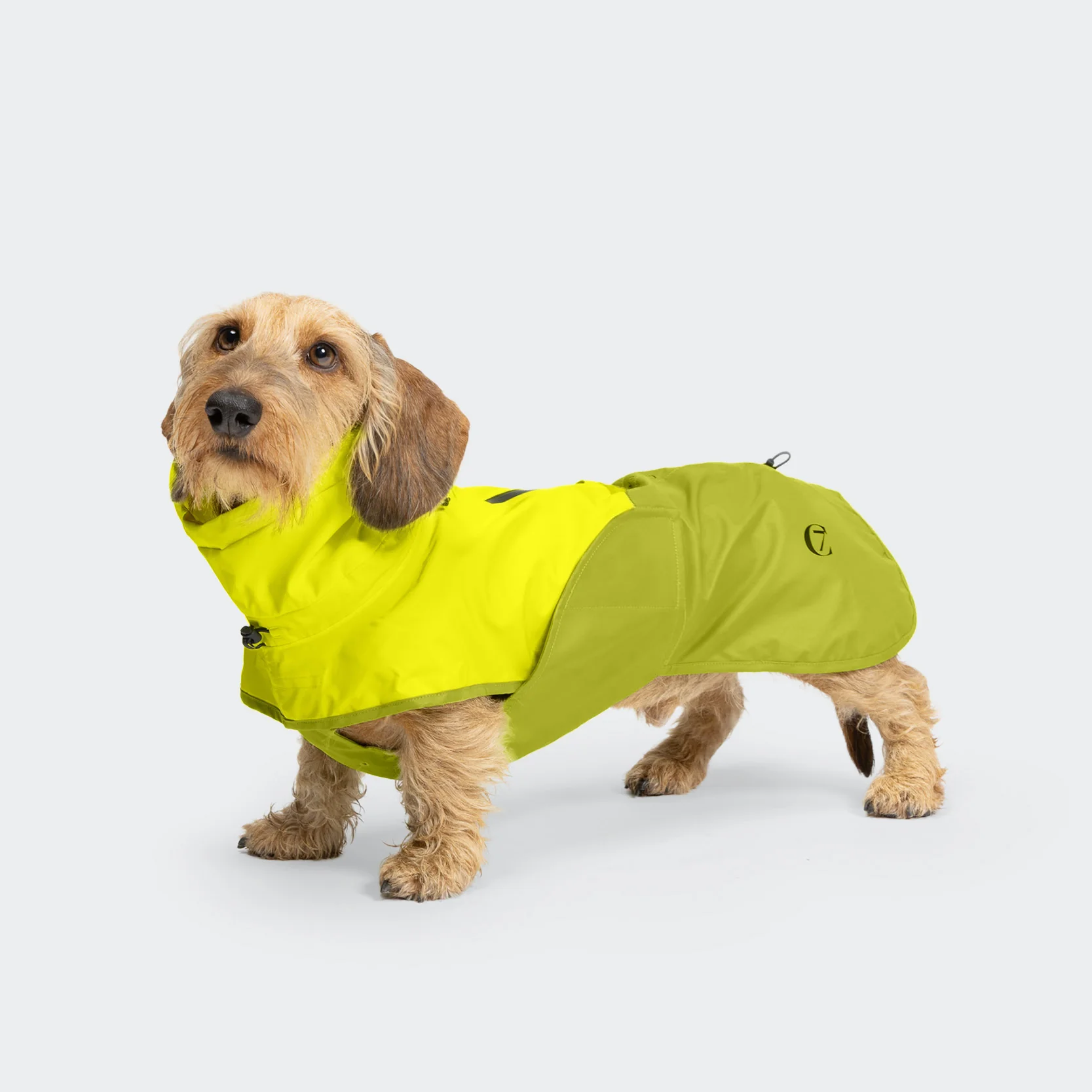 Hunderegenmantel Dackel AKTIV Neon Green/Light Olive - Image 2