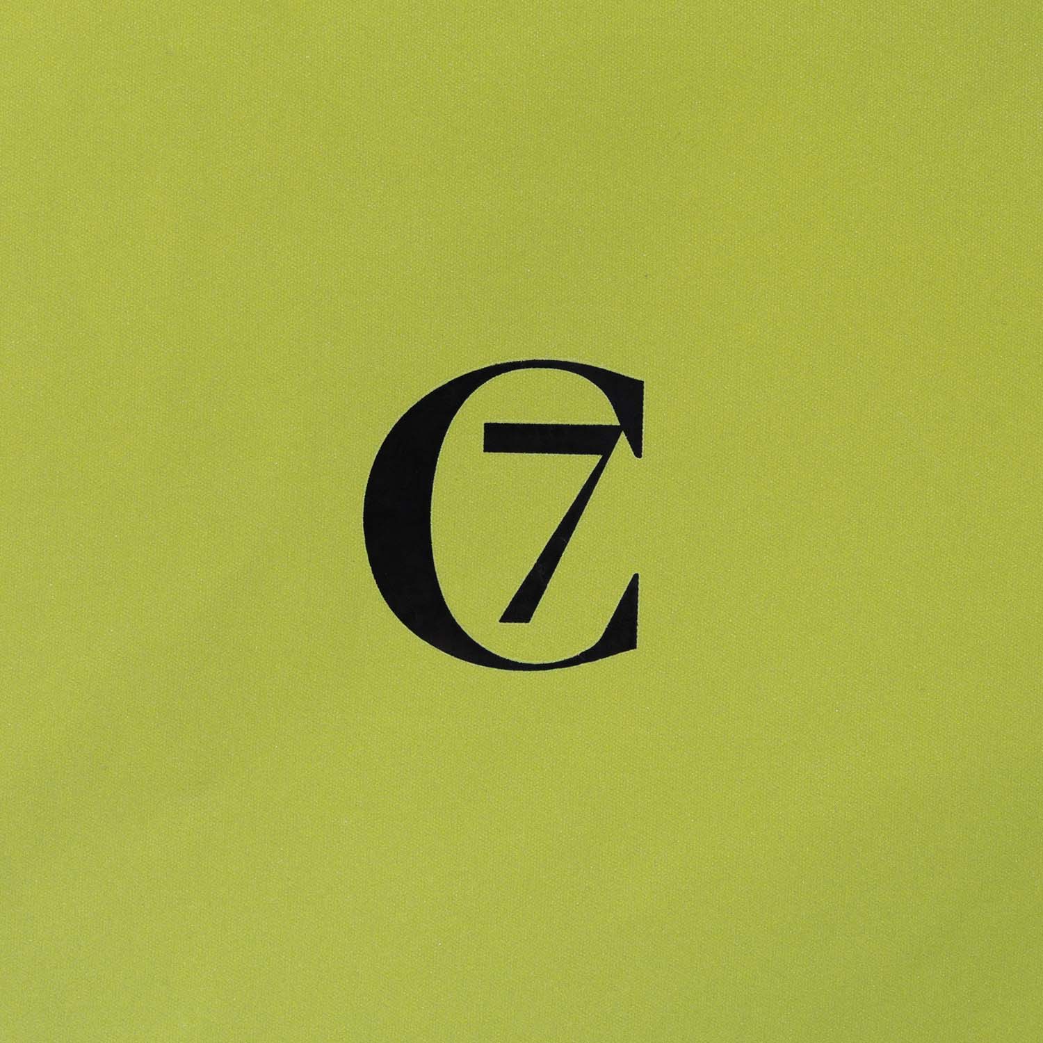 Hunderegenmantel Dackel AKTIV Neon Green/Light Olive - Image 7