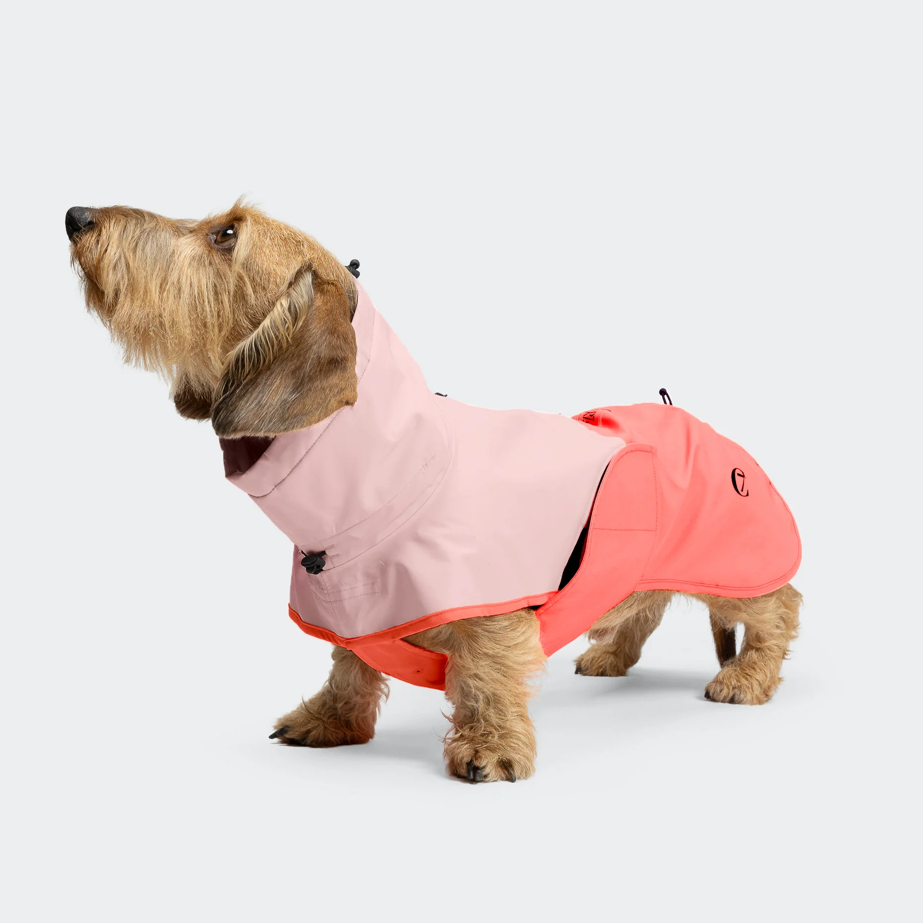 Hunderegenmantel Dackel AKTIV Peach/Neon Pink - Image 2