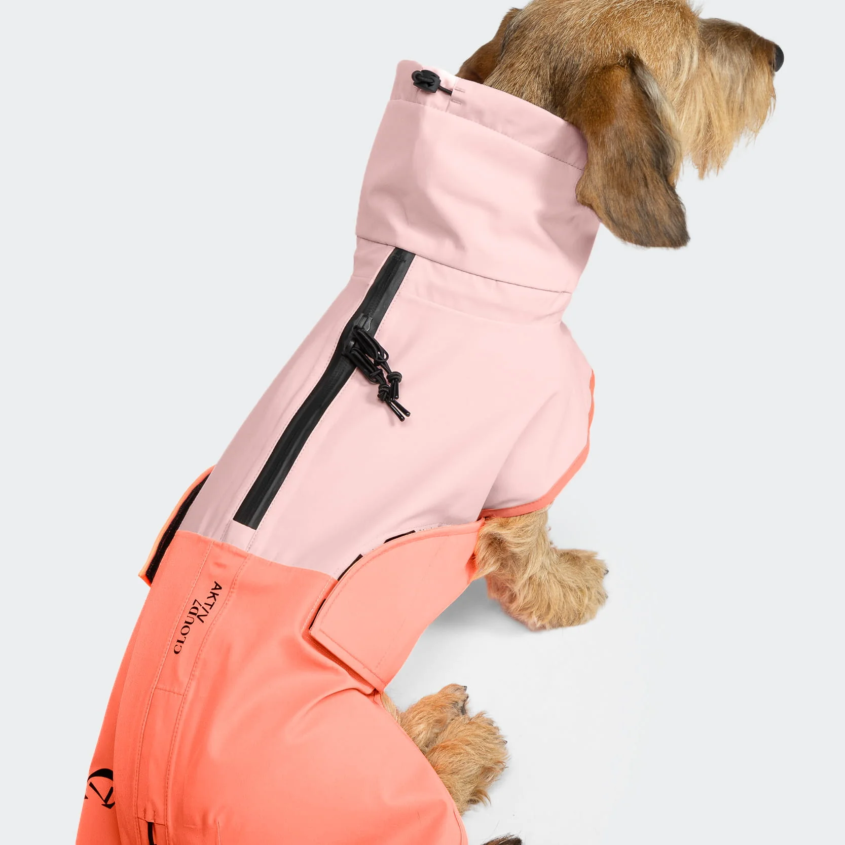 Hunderegenmantel Dackel AKTIV Peach/Neon Pink - Image 4