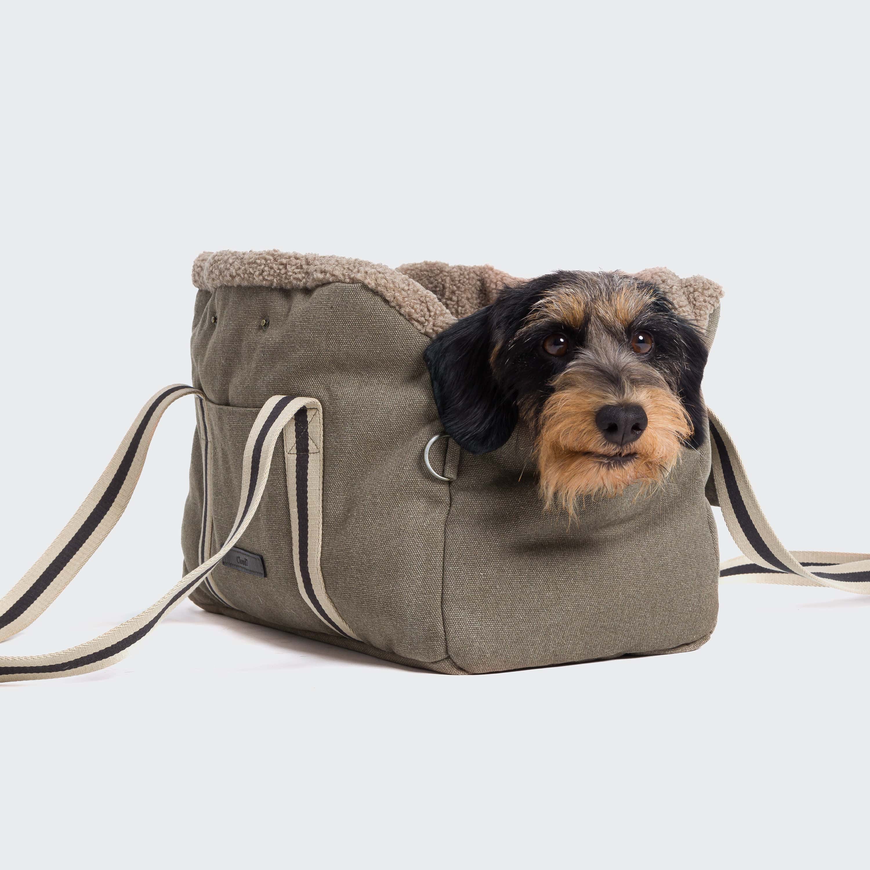Hundetasche Lucca Canvas Sand - Image 6