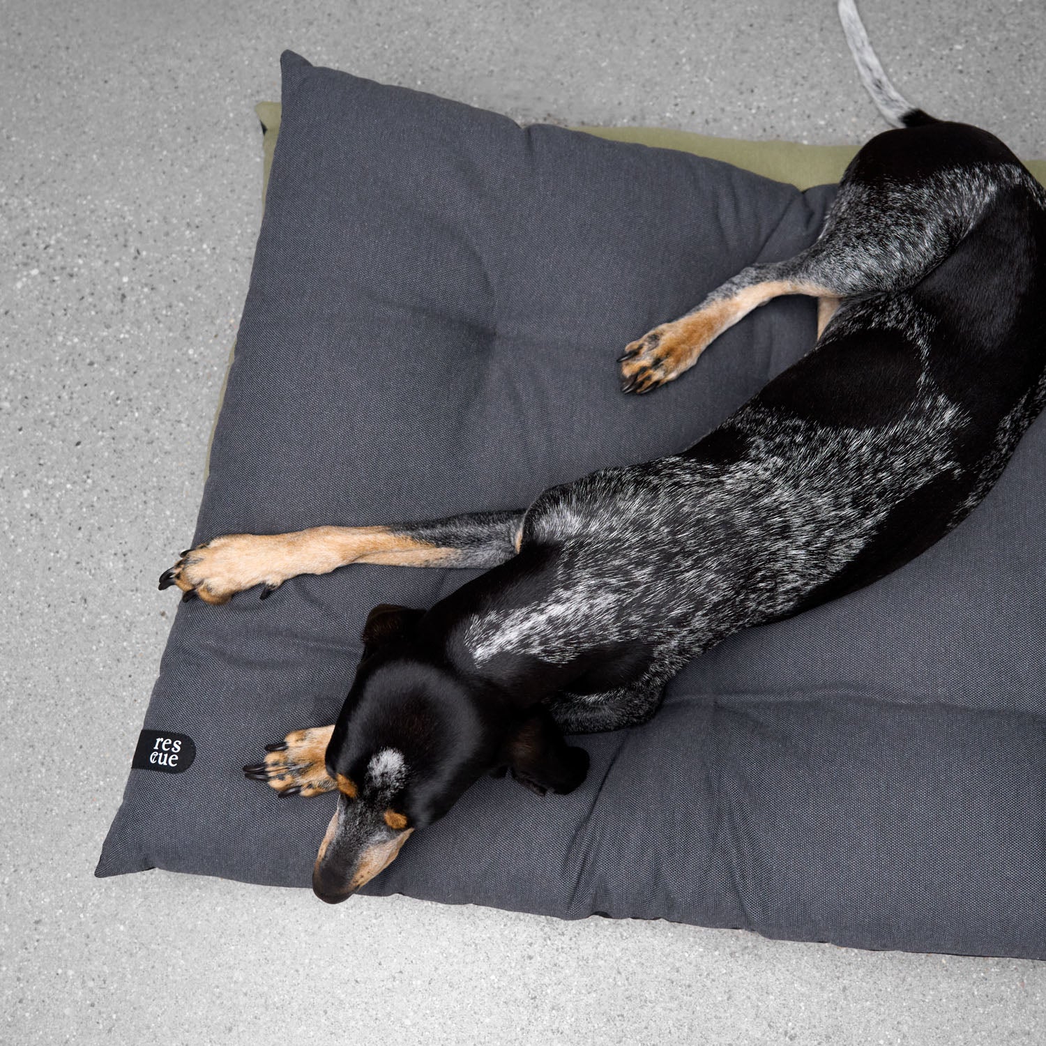 RESC7UE Hundekissen Anthra - Image 5