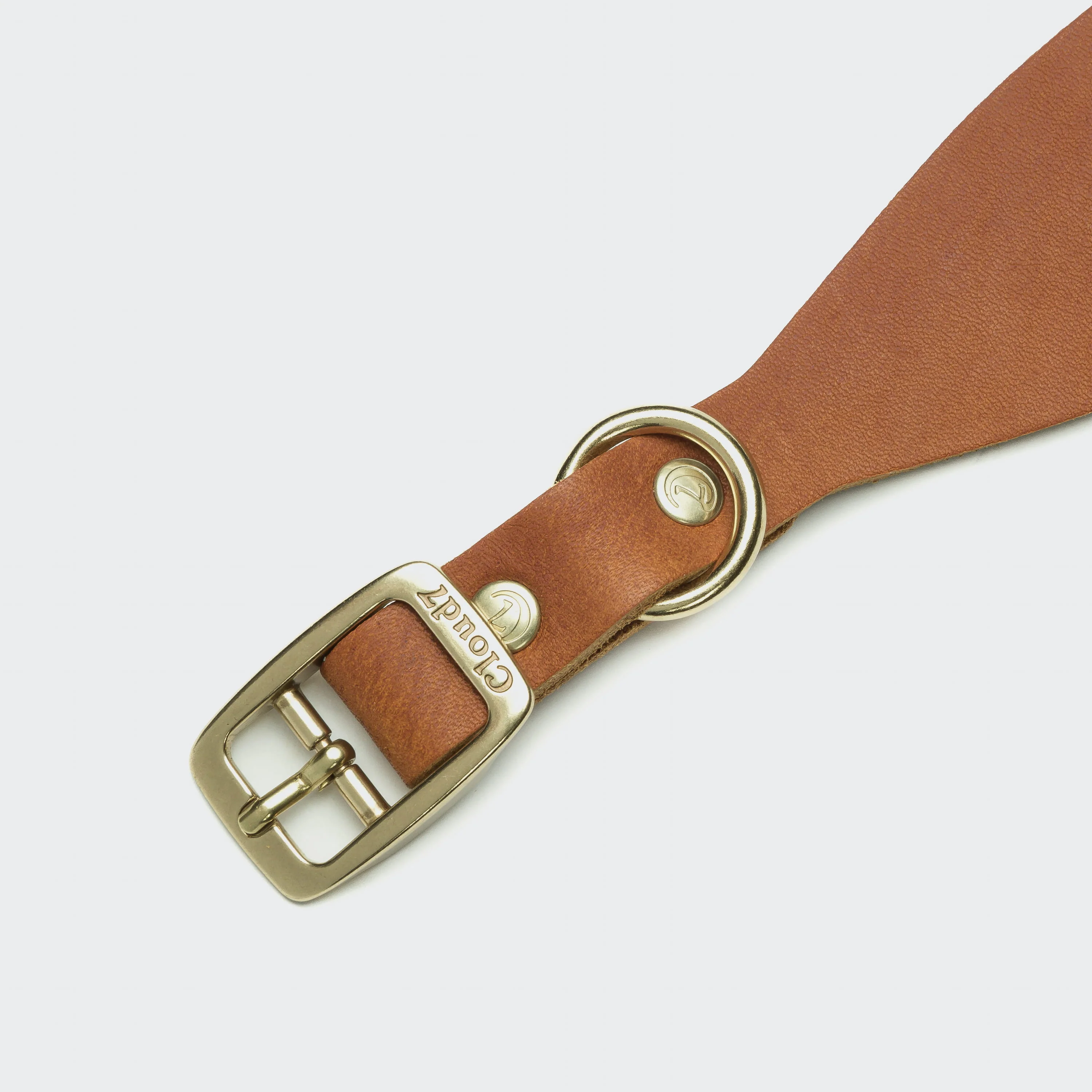 Windhundhalsband Regent Park Camel Gold - Image 5