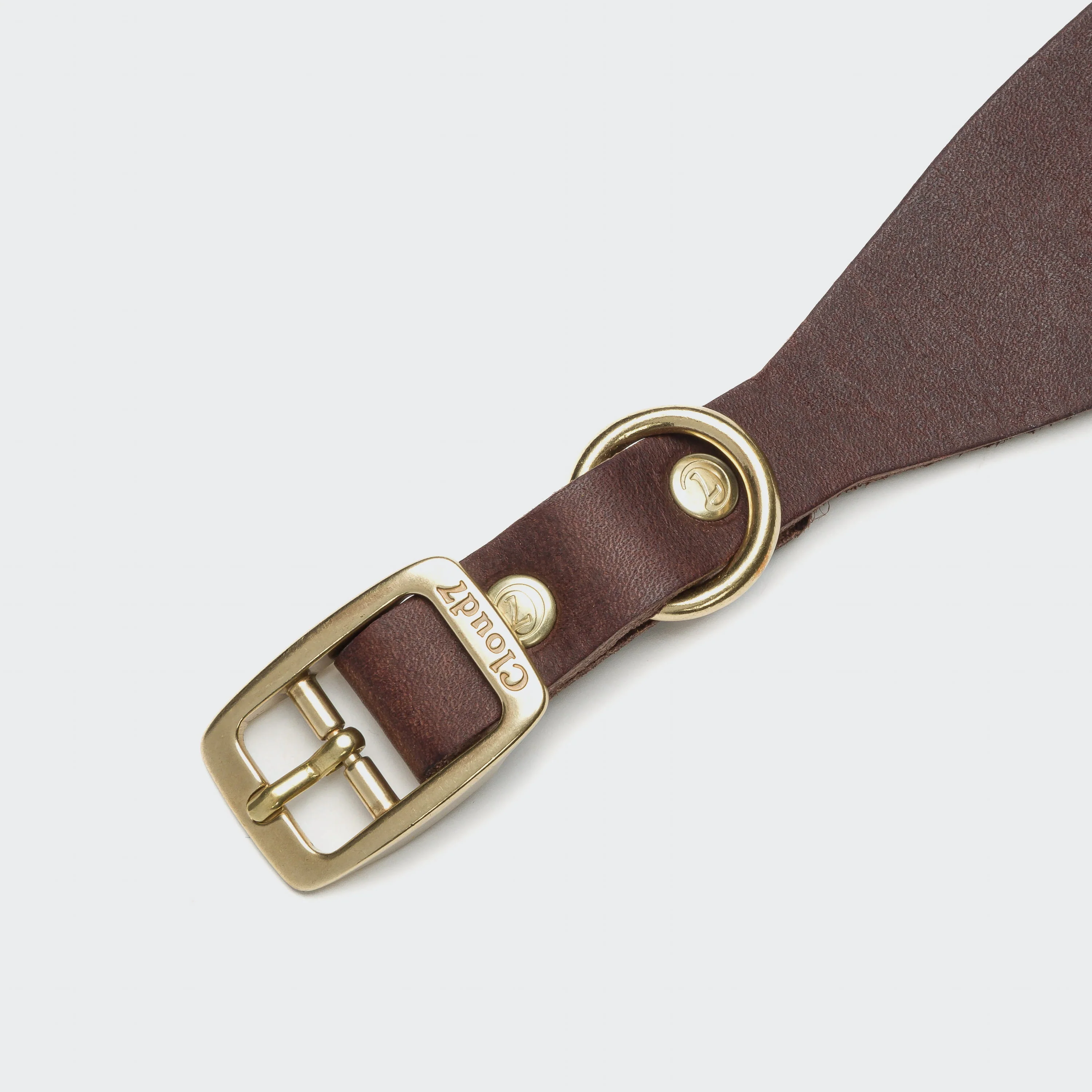 Windhundhalsband Regent Park Saddle Brown Gold - Image 4