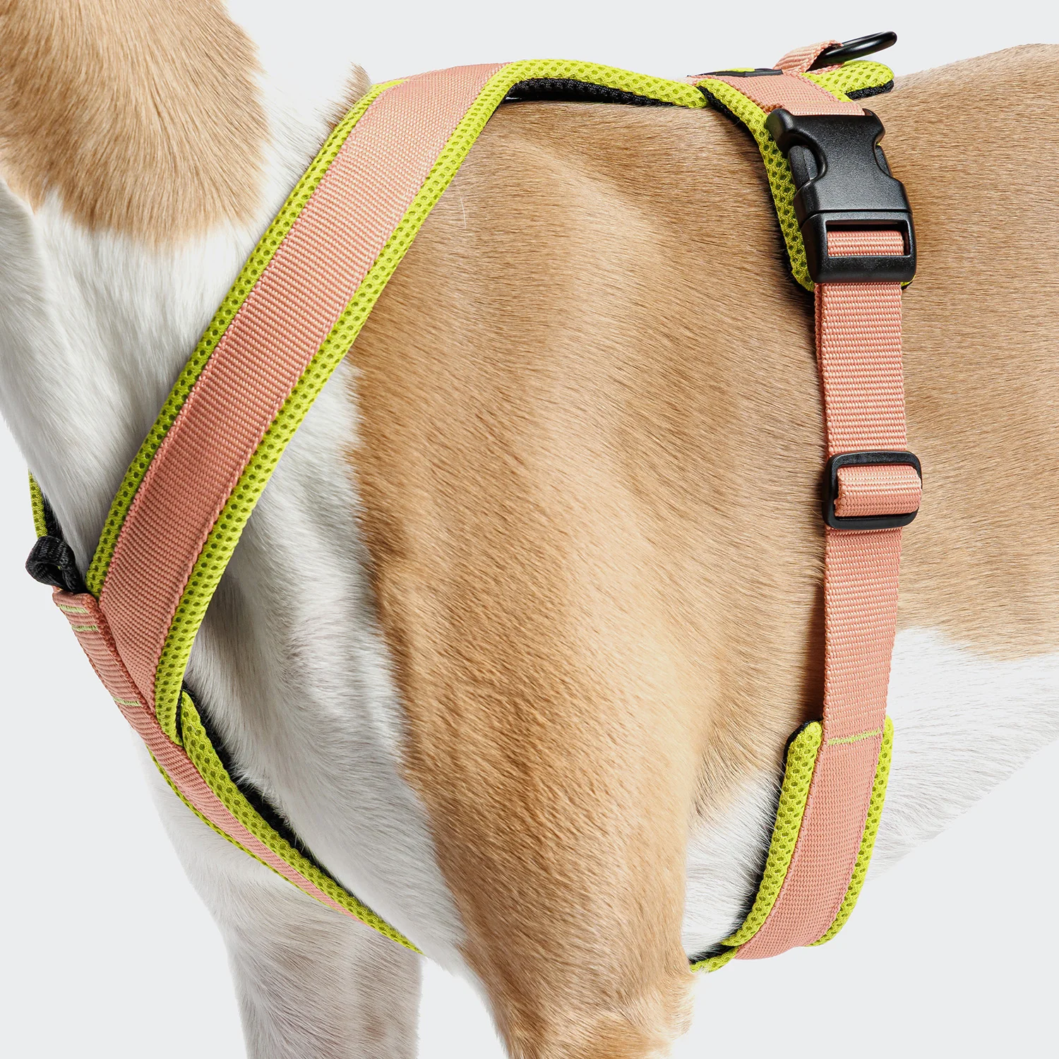 Y-1 Geschirr AKTIV Air-Mesh Peach - Image 3