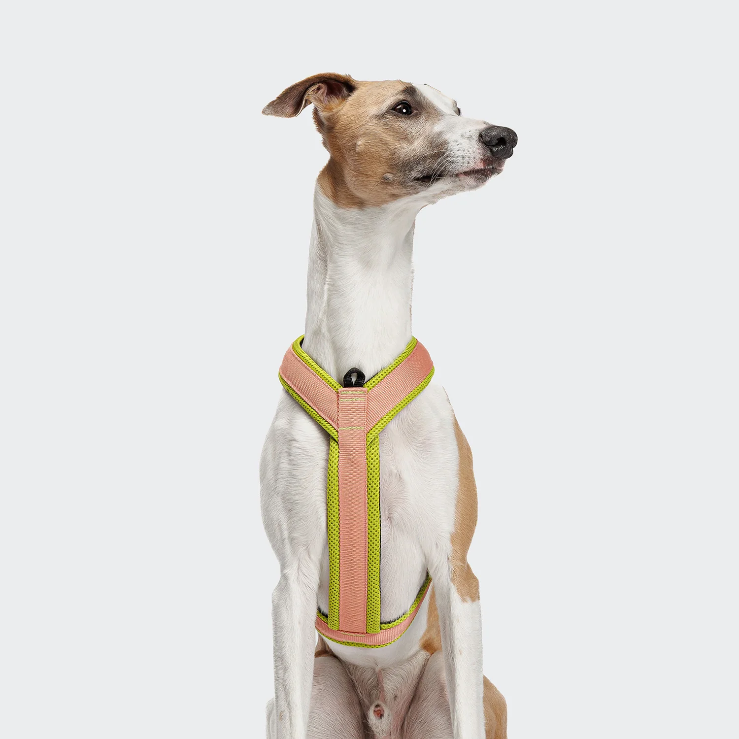 Y-1 Geschirr AKTIV Air-Mesh Peach - Image 4