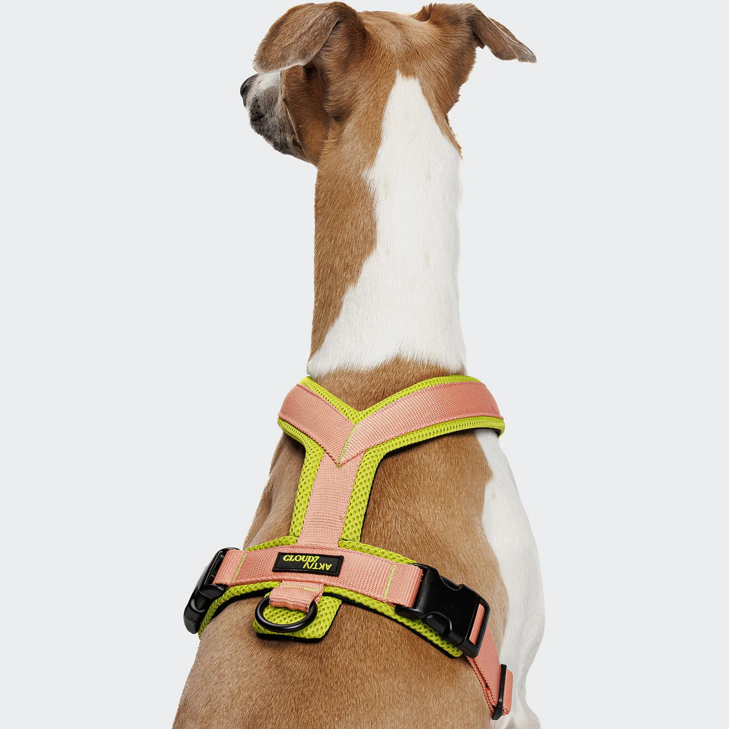 Y-1 Geschirr AKTIV Air-Mesh Peach - Image 6