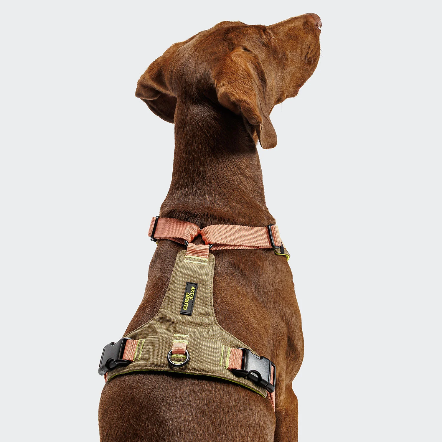 Y-2 Geschirr AKTIV Cordura Peach - Image 3
