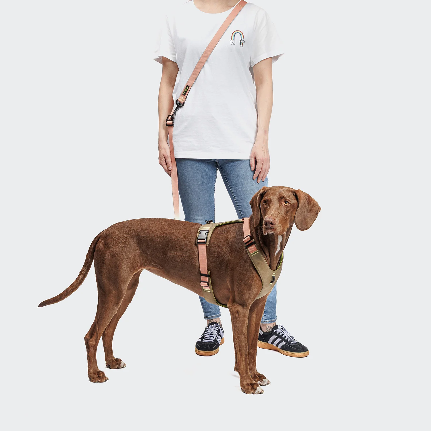 Y-2 Geschirr AKTIV Cordura Peach - Image 5